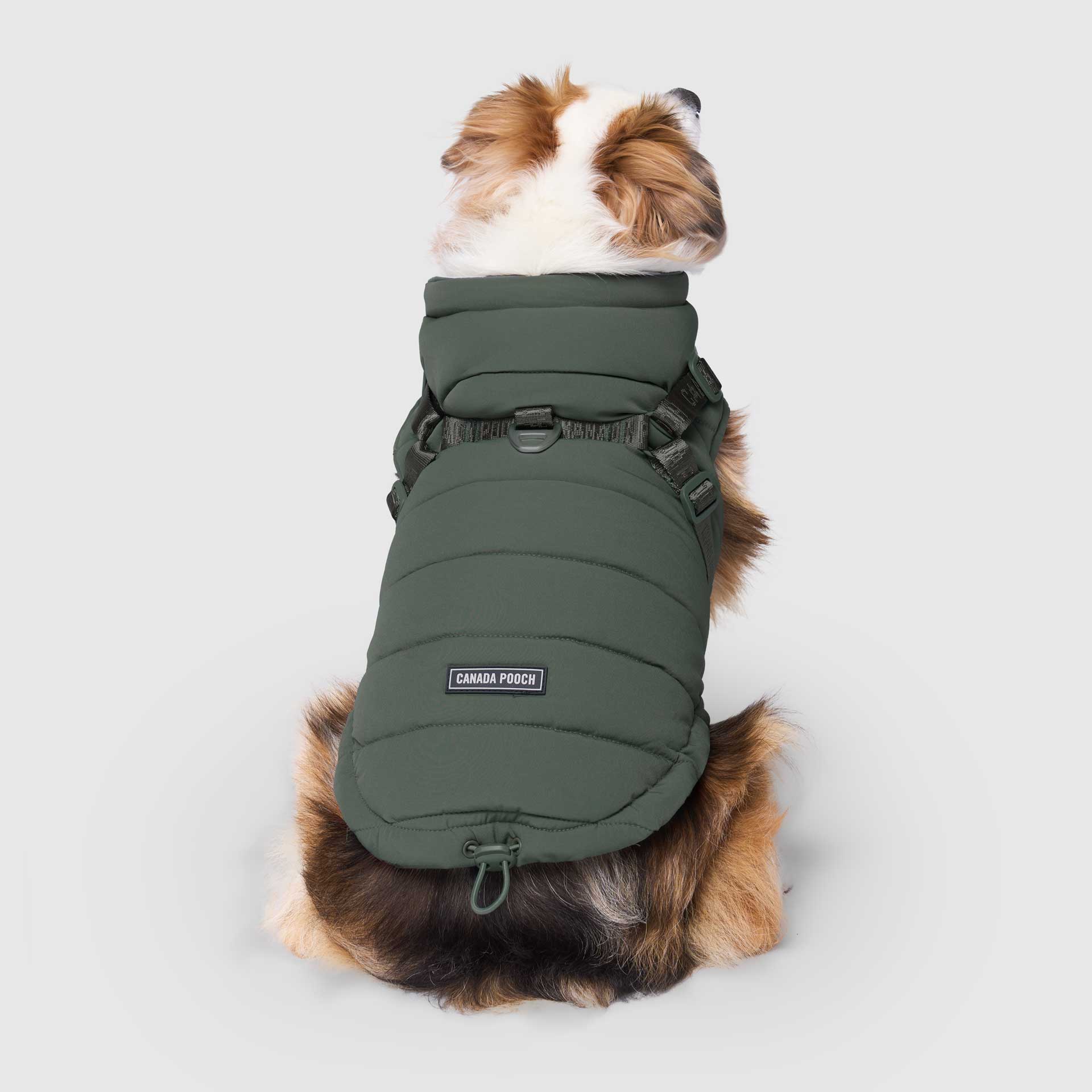 Harness Puffer - Image 22