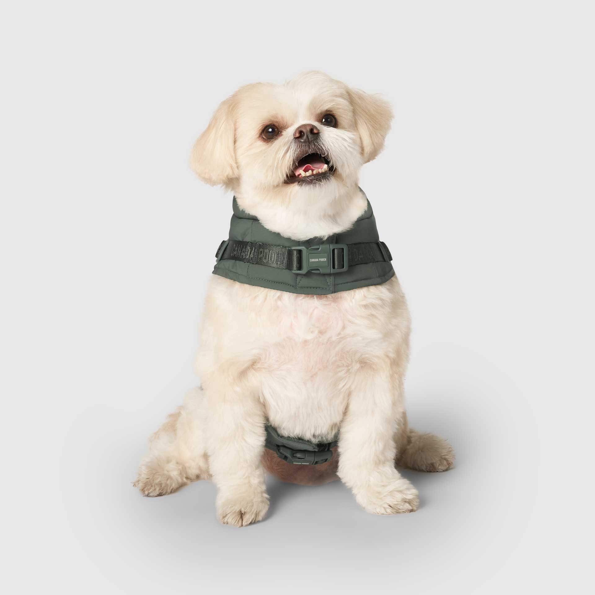 Harness Puffer - Image 23