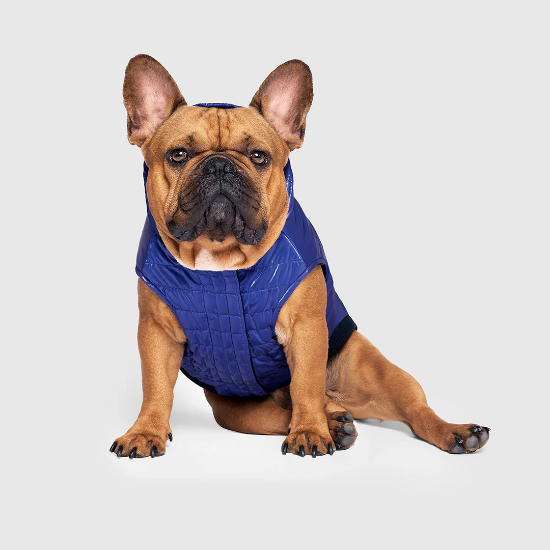 Shiny Puffer Vest - Image 18