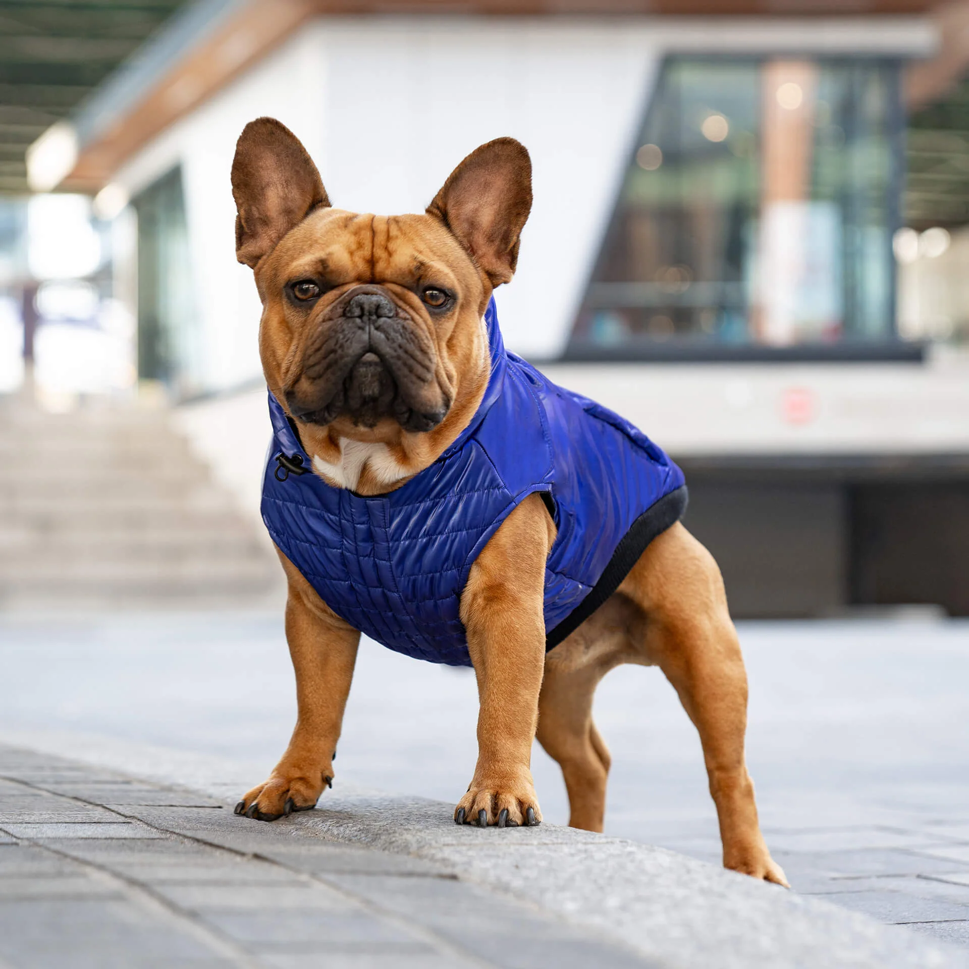 Shiny Puffer Vest - Image 21