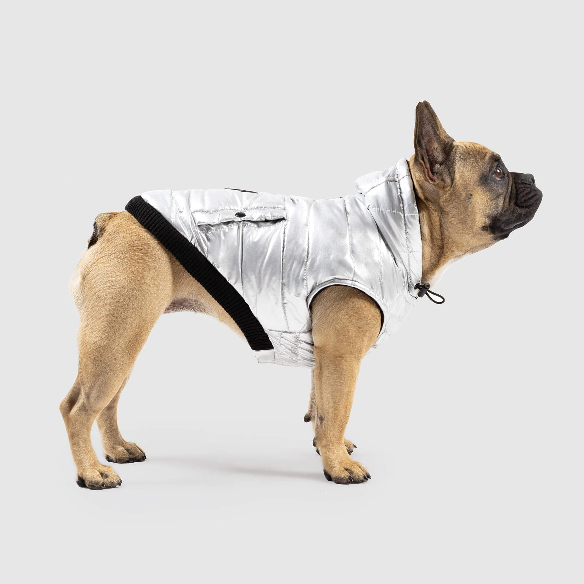 Shiny Puffer Vest - Image 9