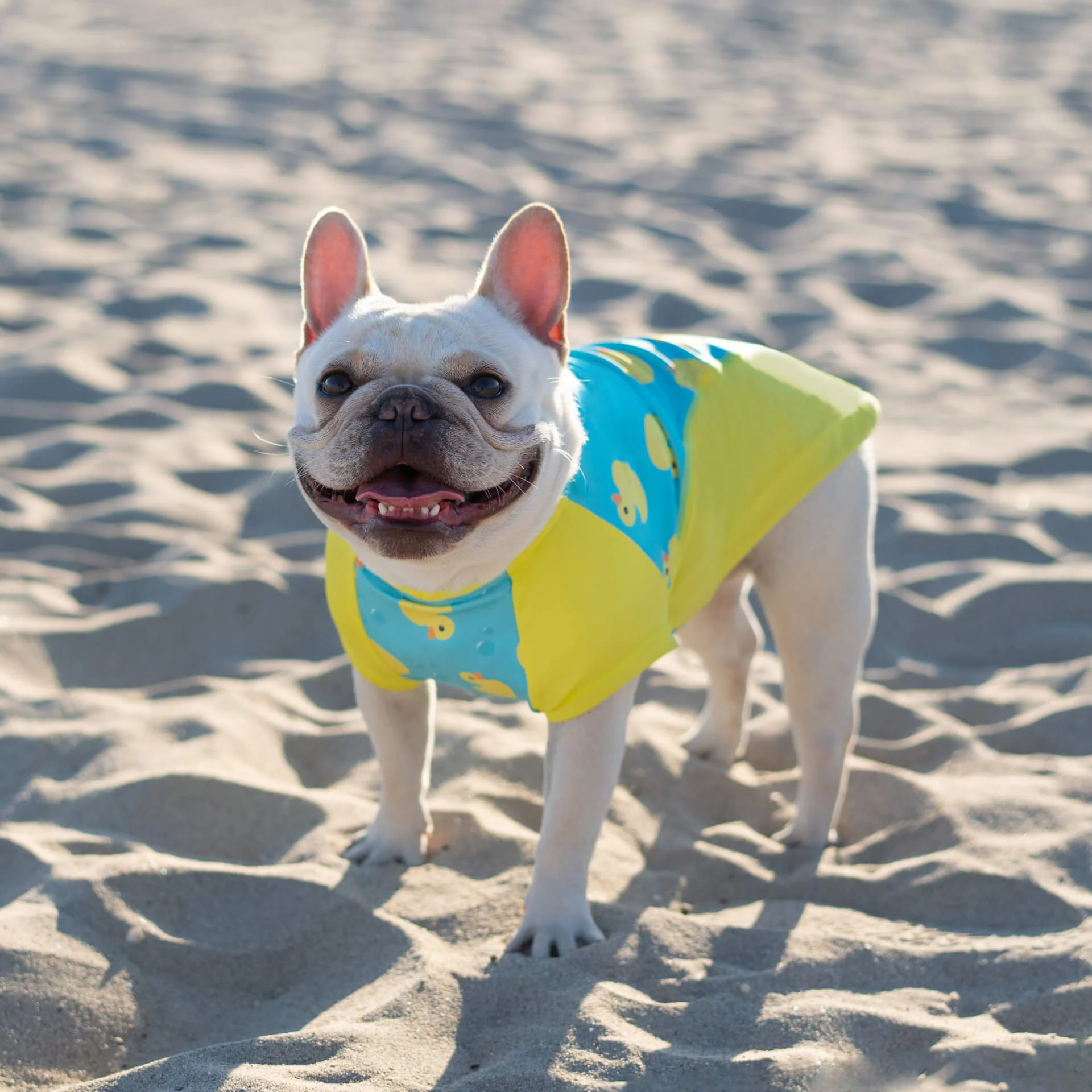 Sun Shield Tee - Image 9