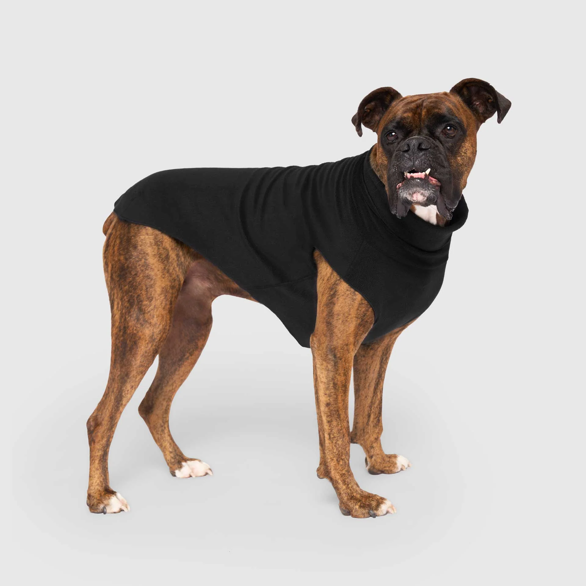 Best Selling Dog Clothes & Accessories