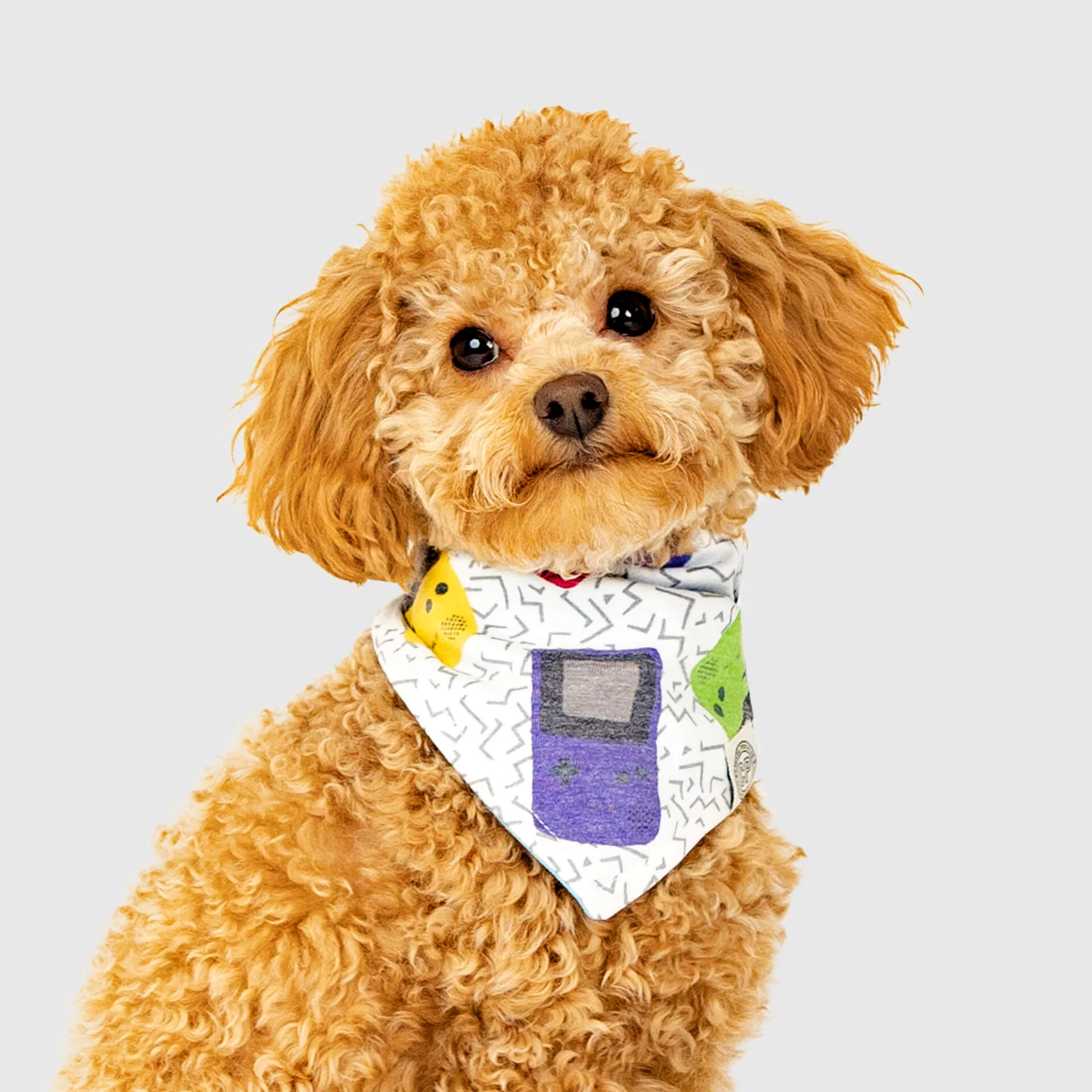 Follow Me Bandana - Image 10