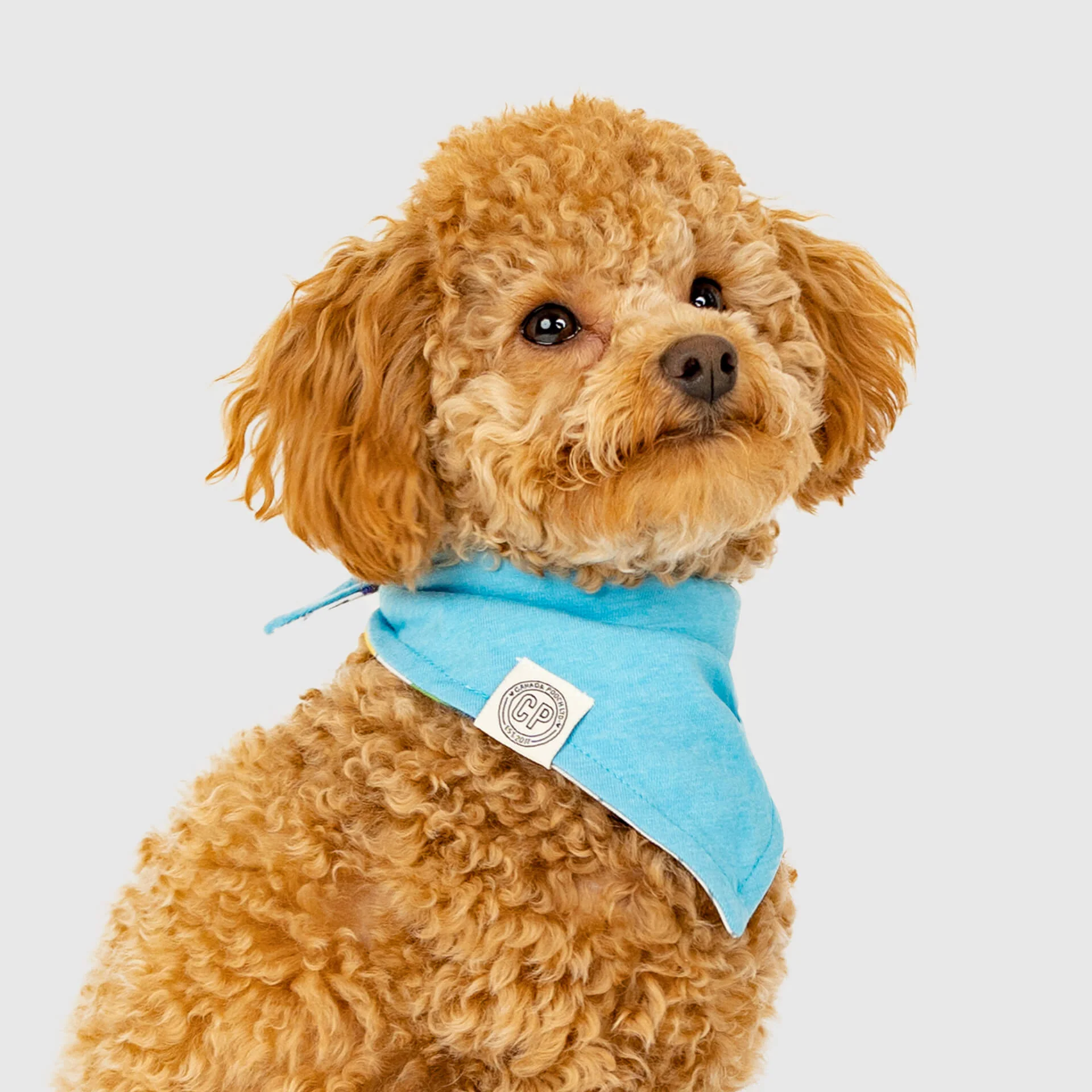 Follow Me Bandana - Image 11