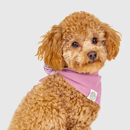 Follow Me Bandana - Image 19