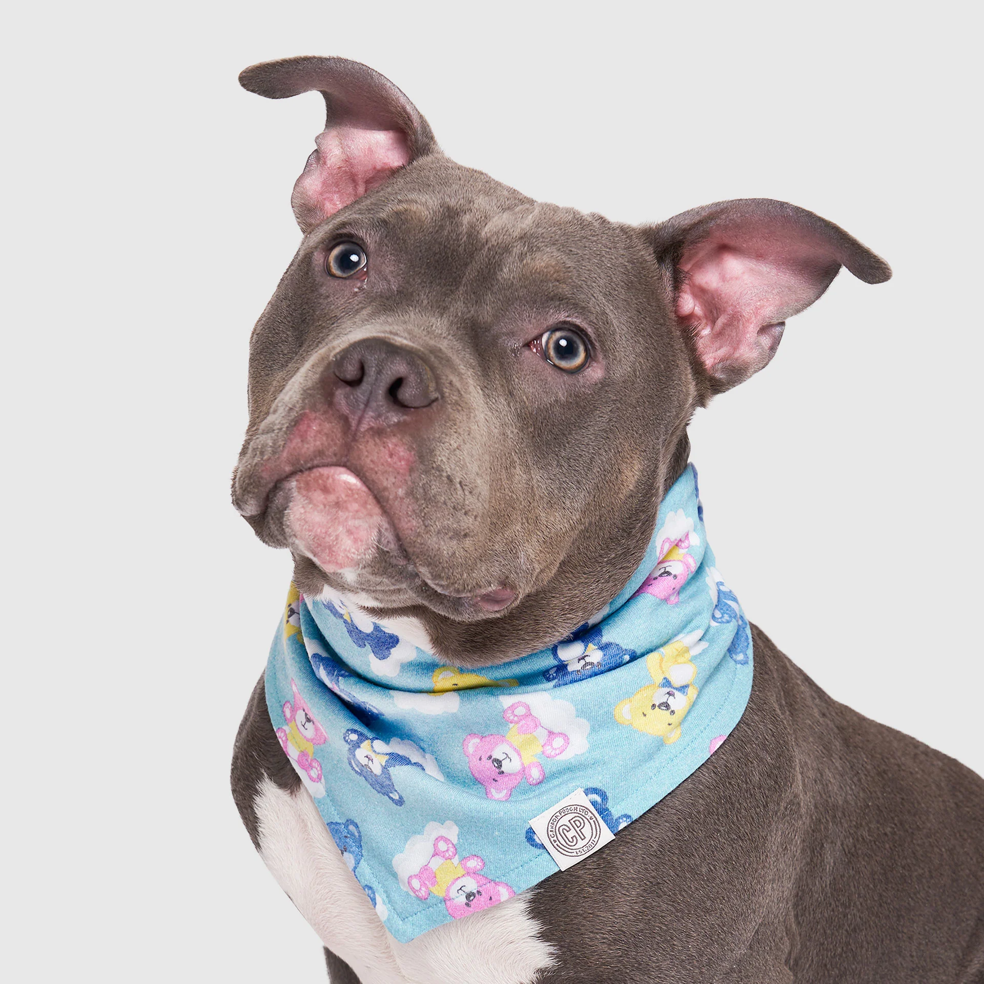 Follow Me Bandana - Image 5