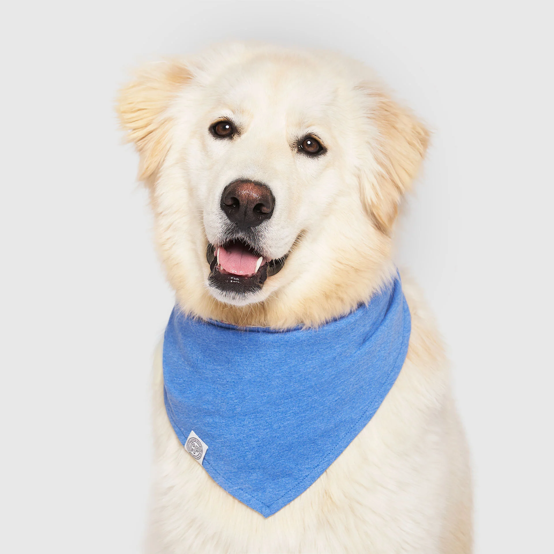 Follow Me Bandana - Image 6