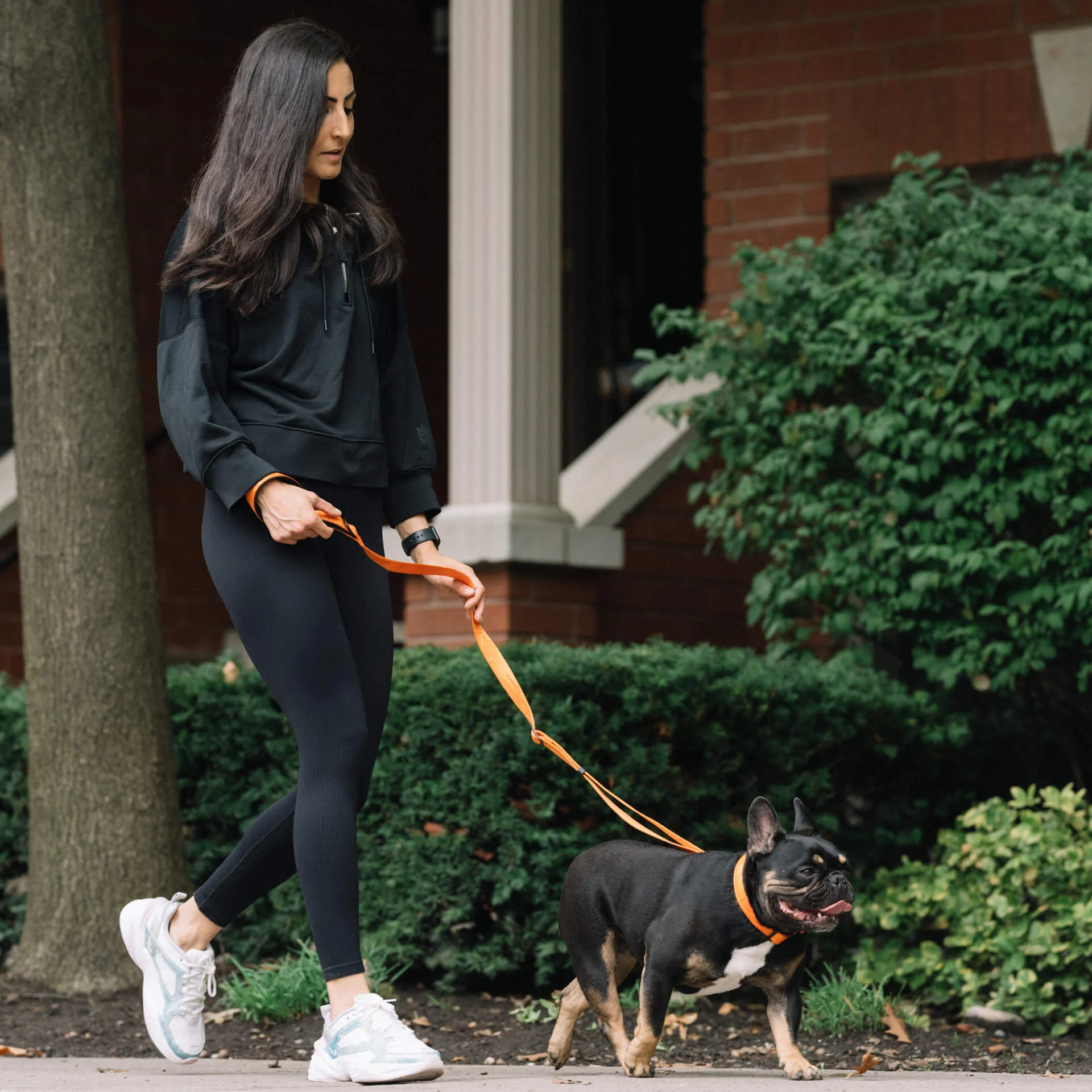 Utility Leash - Image 10