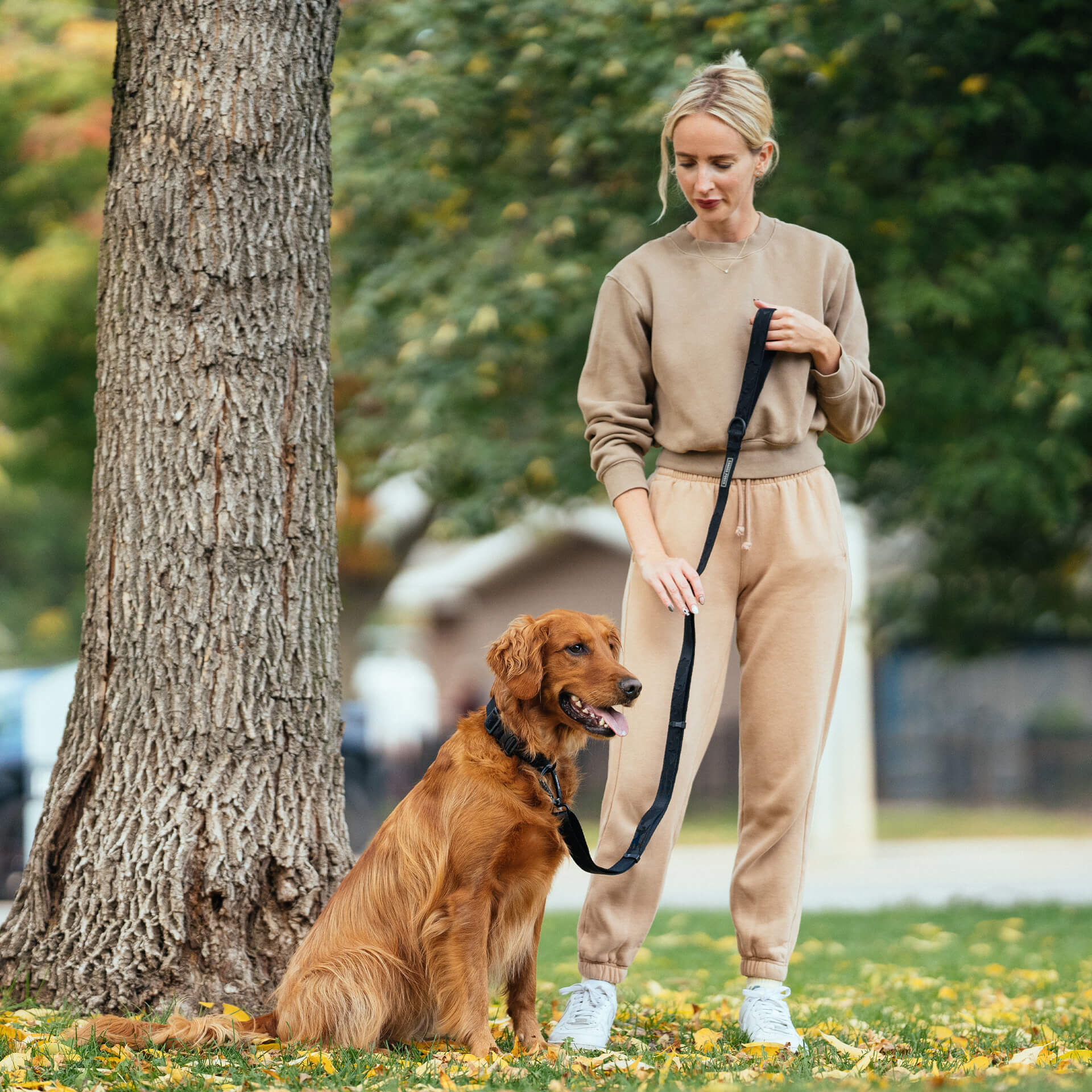 Utility Leash - Image 5