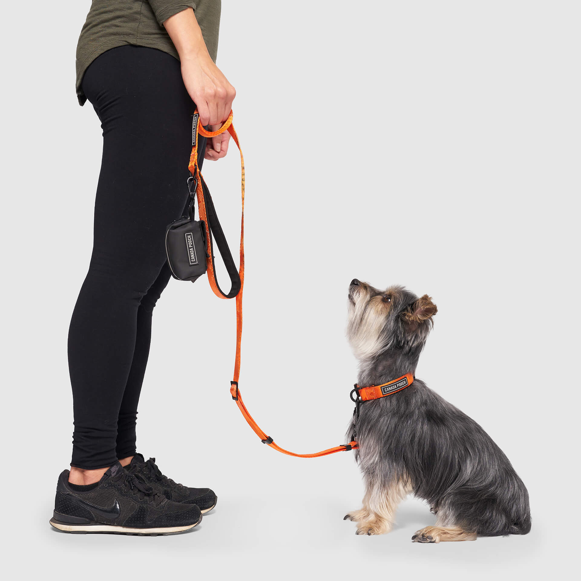 Utility Leash - Image 7