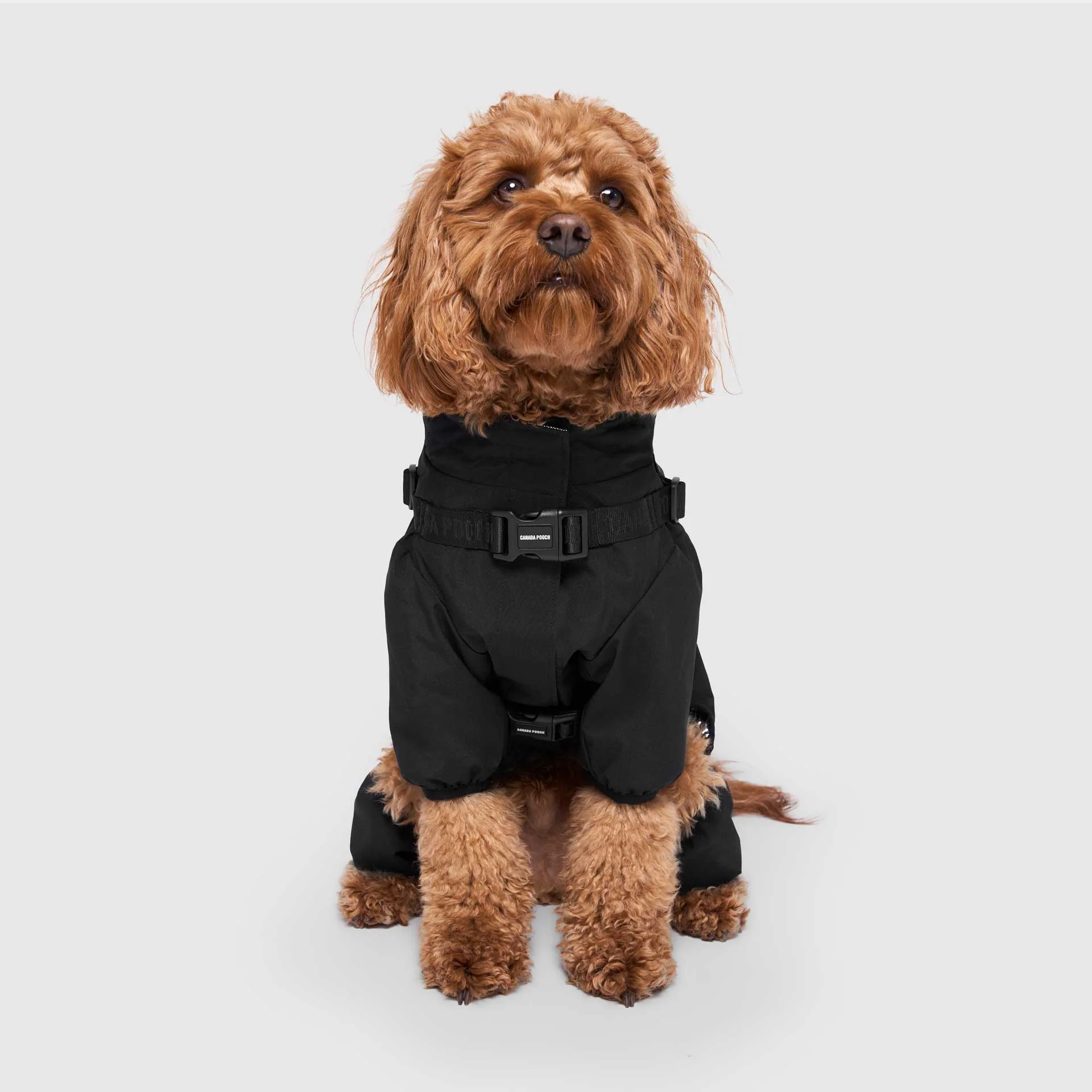 Harness Snow Suit - Image 3