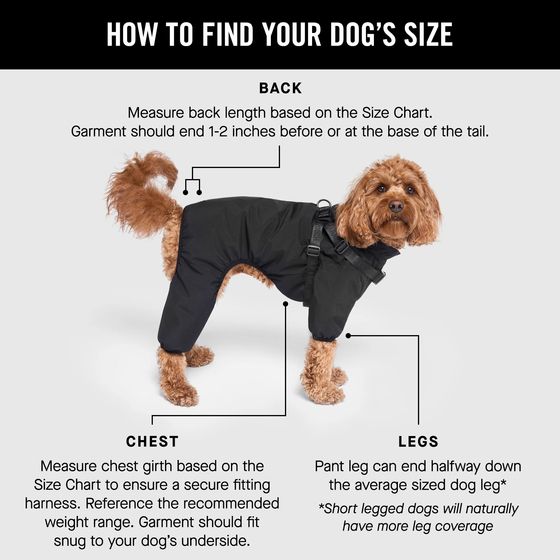 Harness Snow Suit - Image 4