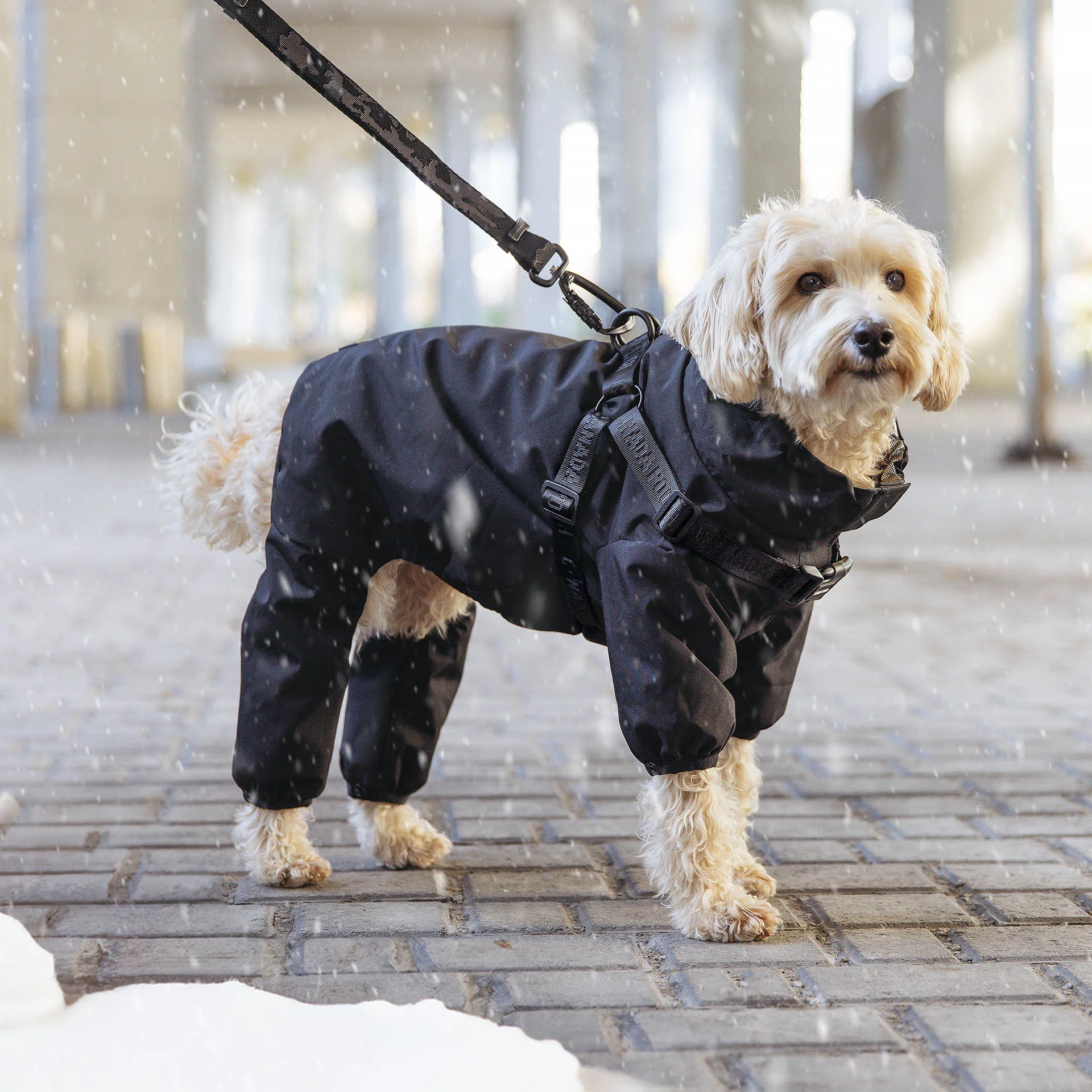 Harness Snow Suit - Image 7