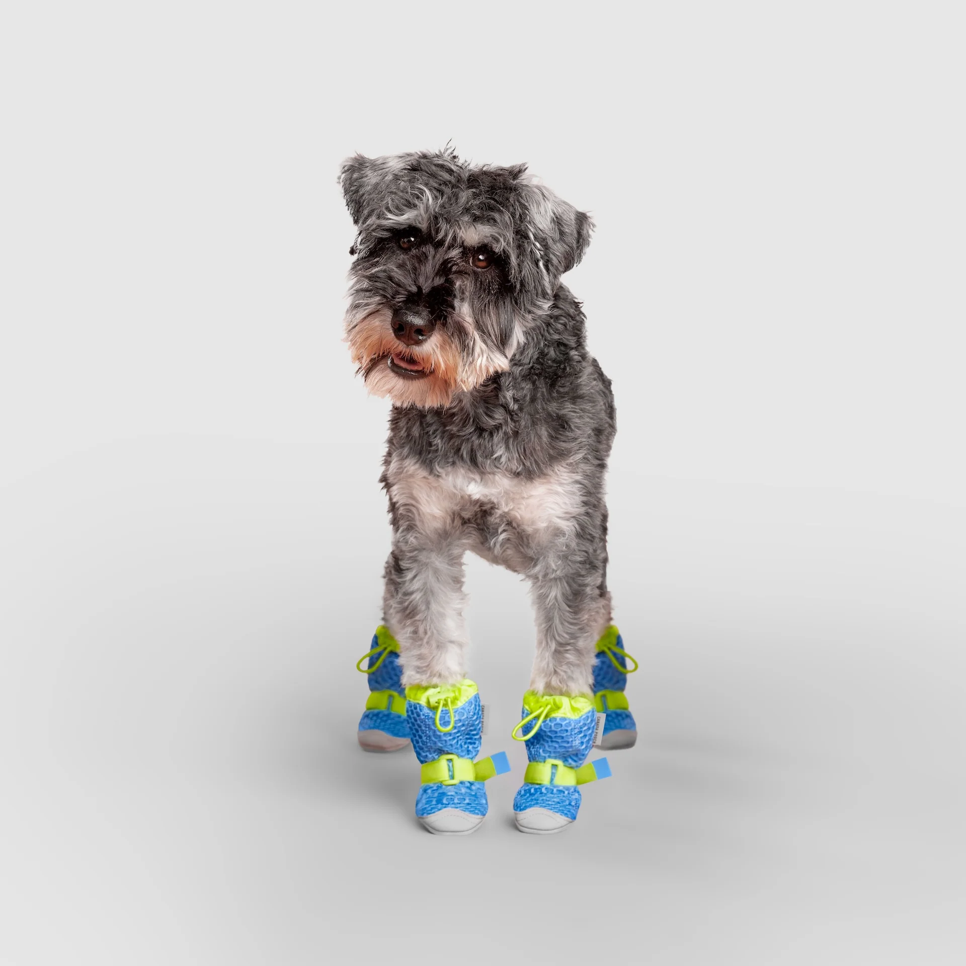 Hot Pavement Boots - Image 13