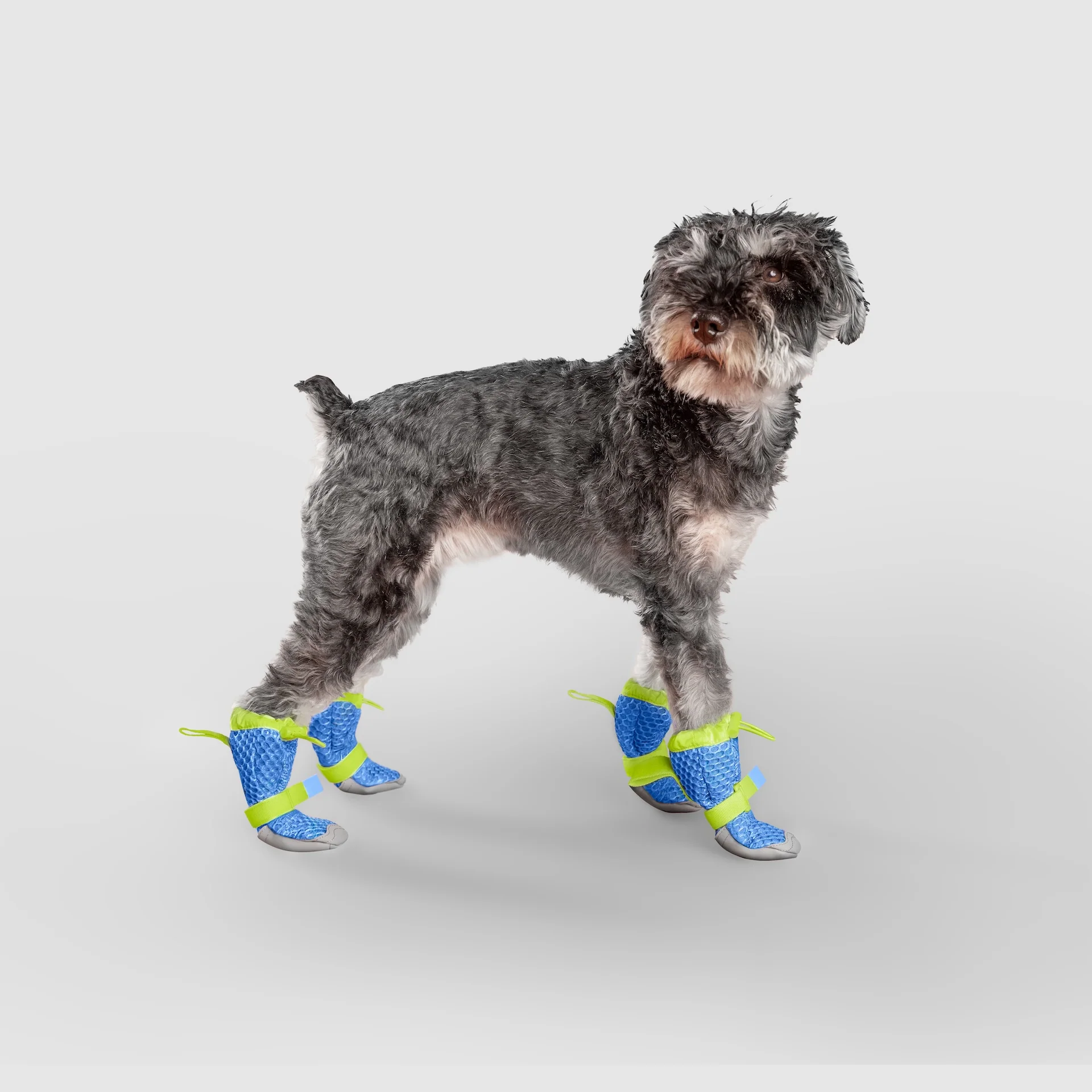 Hot Pavement Boots - Image 14