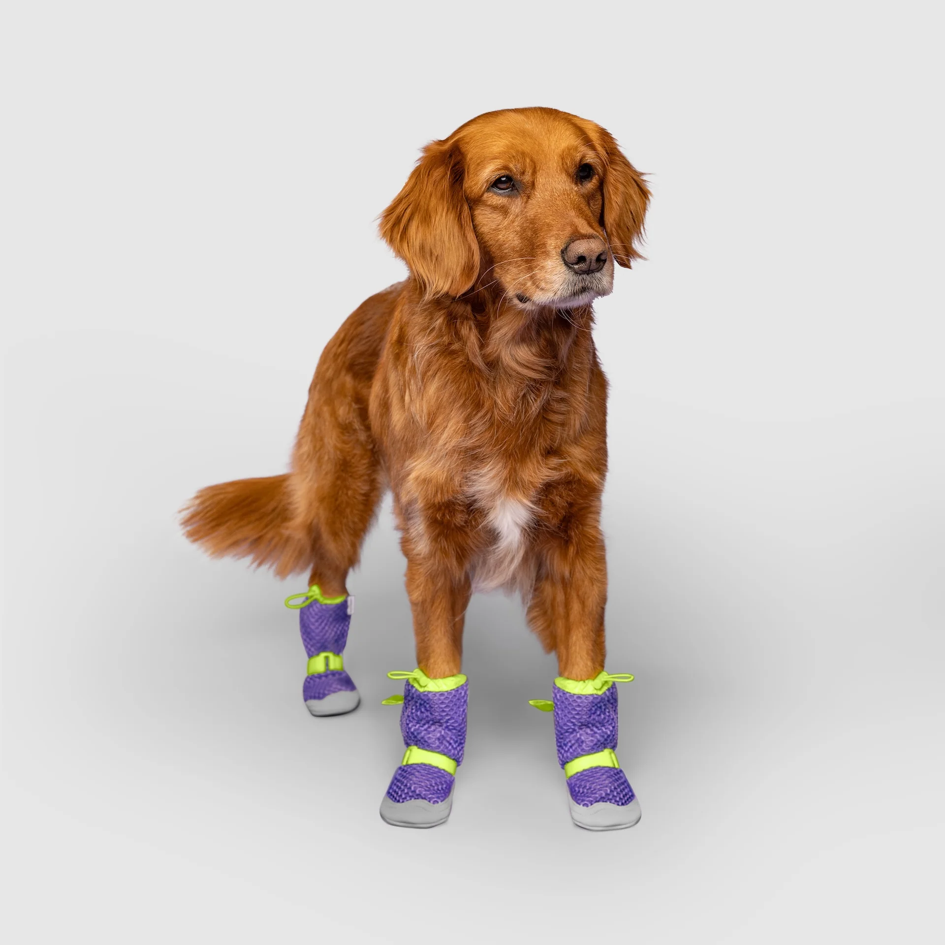 Hot Pavement Boots - Image 17