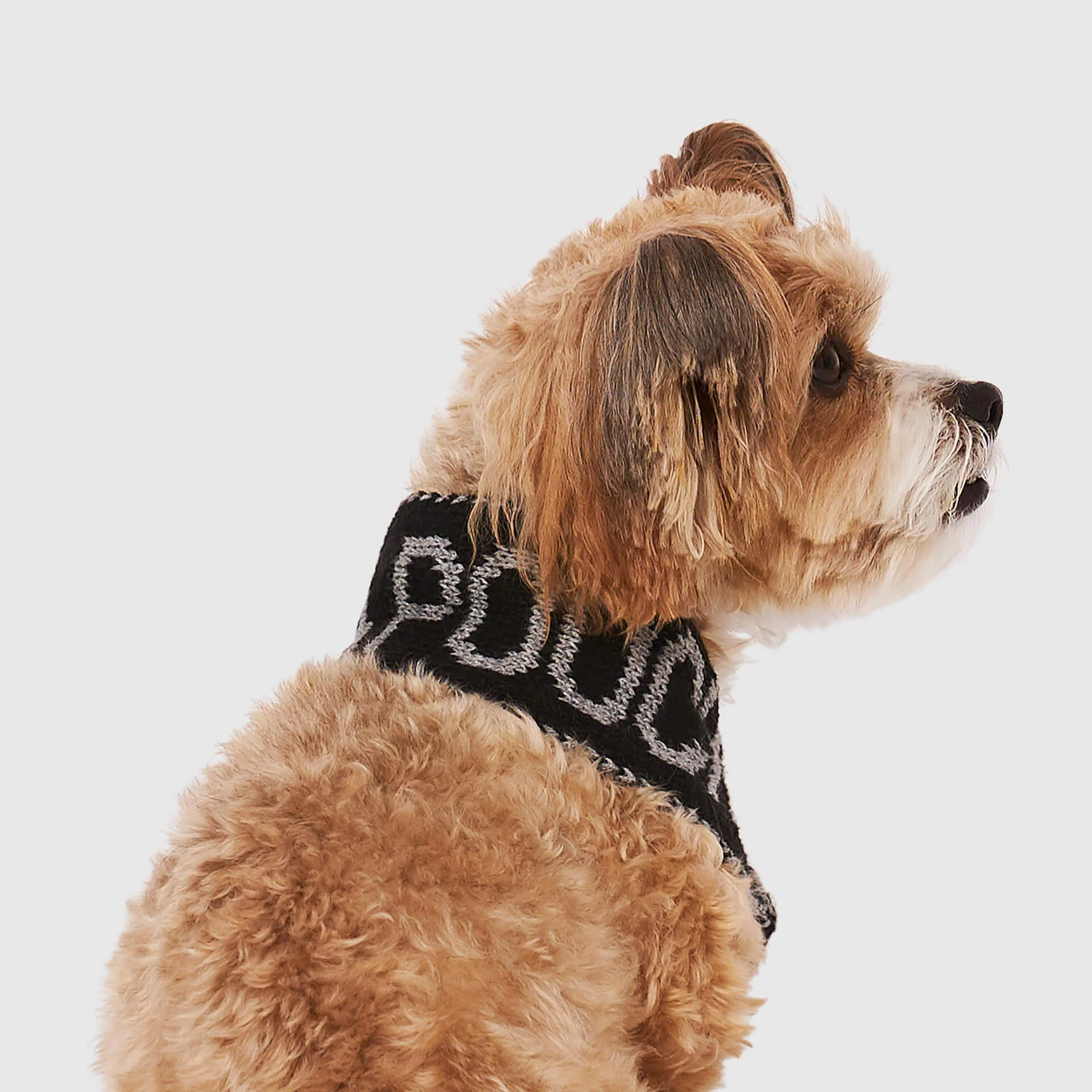 Logo Scarf - Image 3