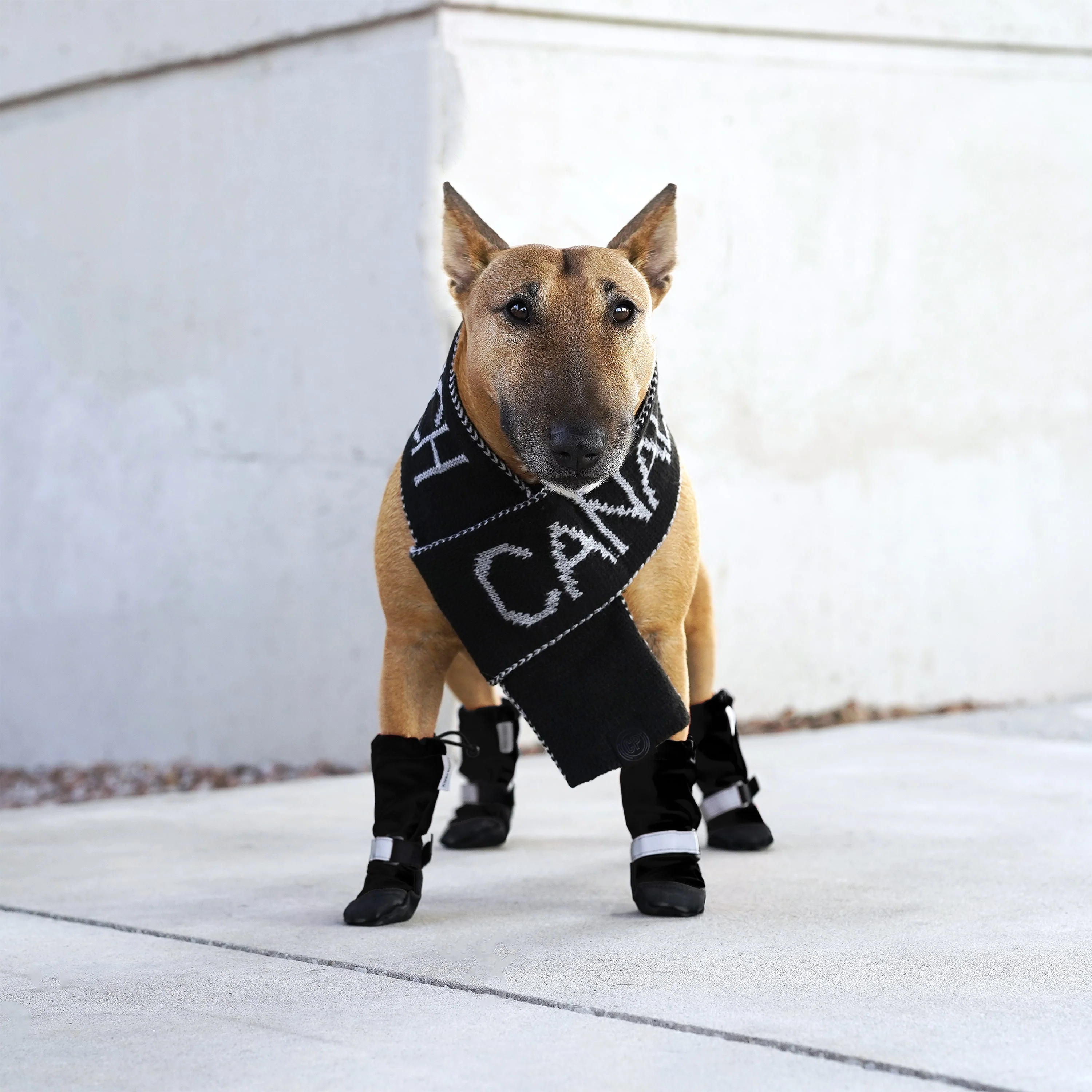 Logo Scarf - Image 5