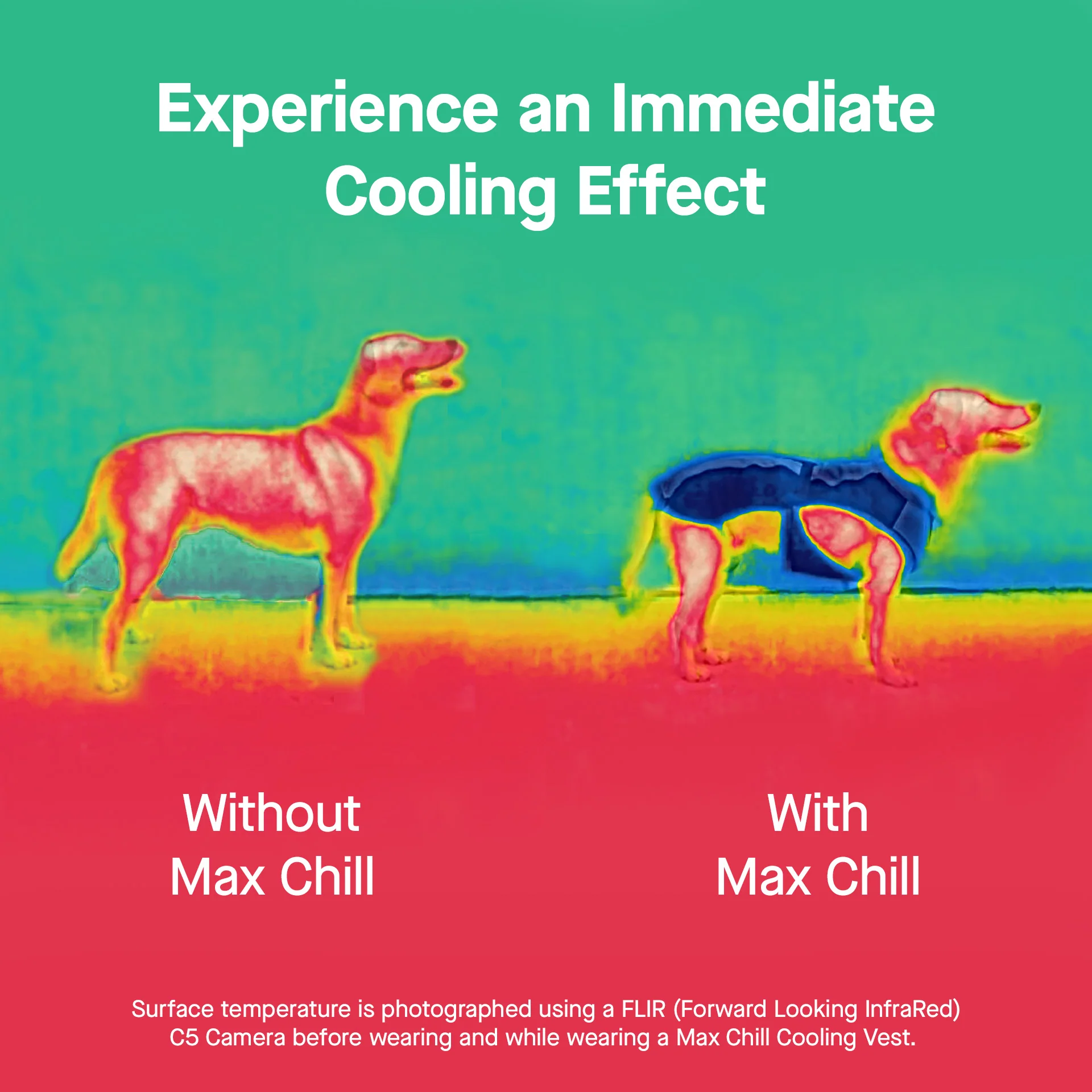 Max Chill Cooling Harness - Image 12