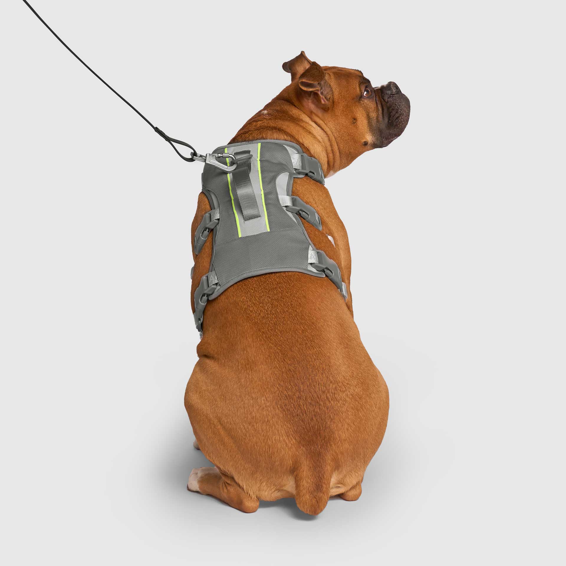 Max Chill Cooling Harness - Image 17