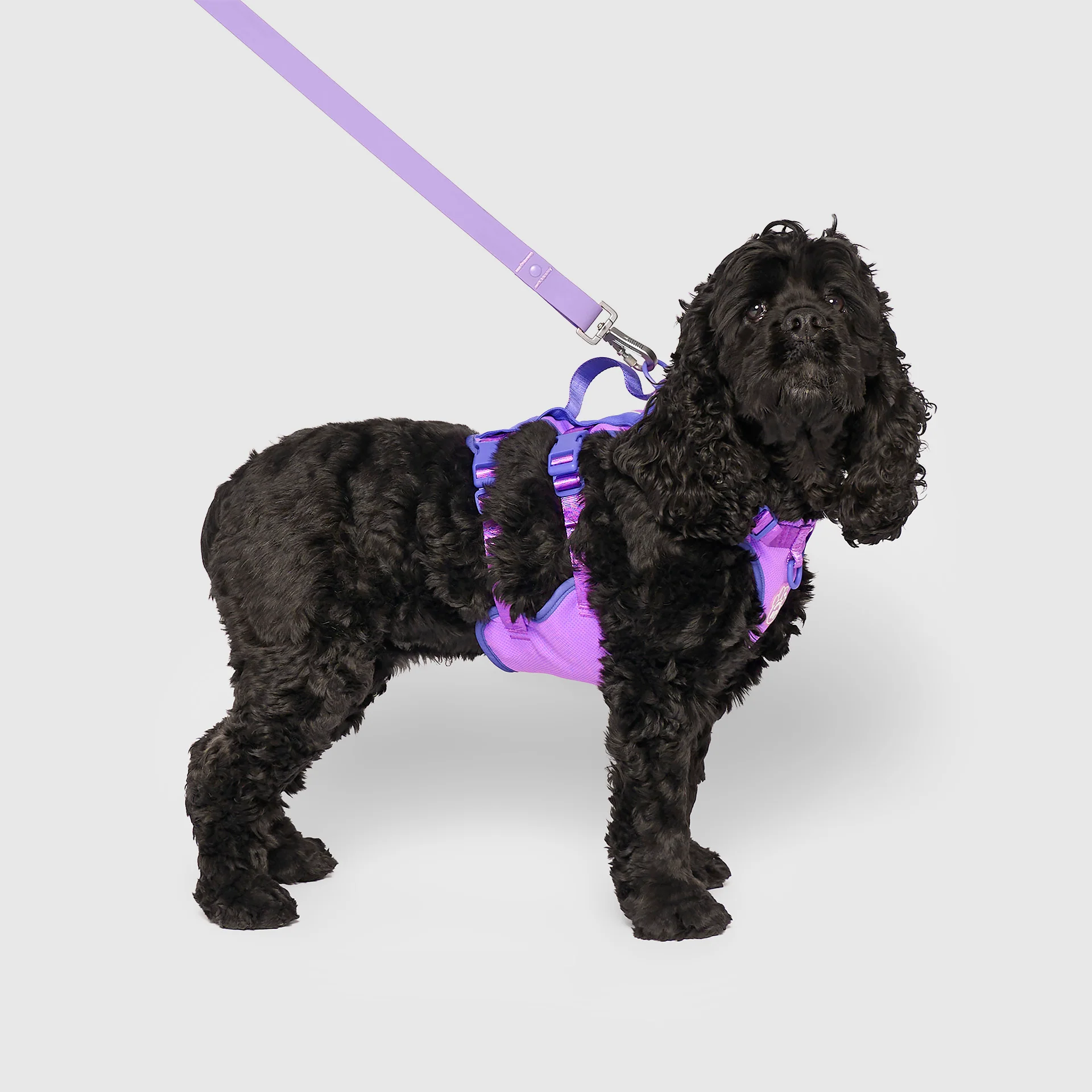 Max Chill Cooling Harness - Image 19