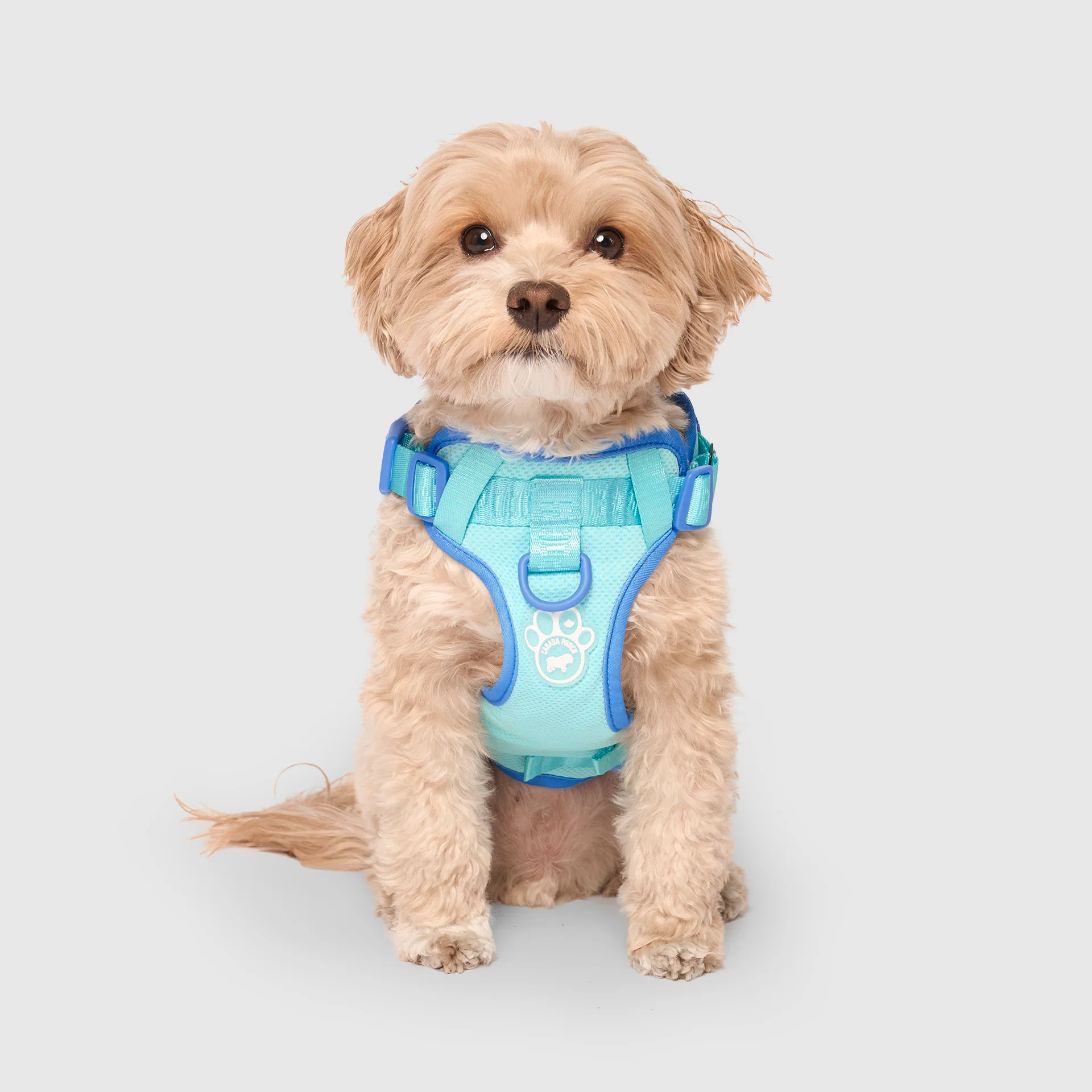Max Chill Cooling Harness - Image 7