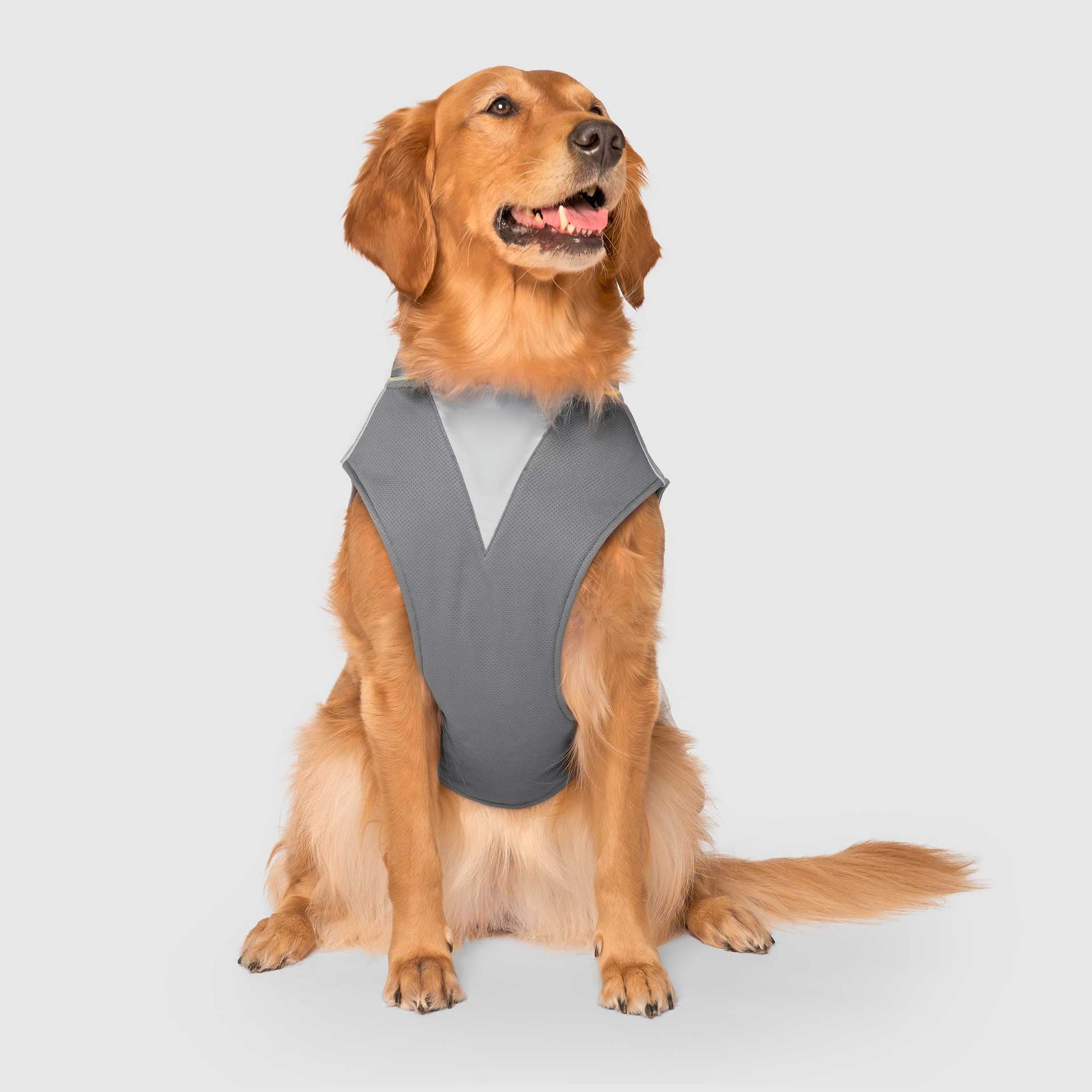 Max Chill Cooling Vest - Image 14