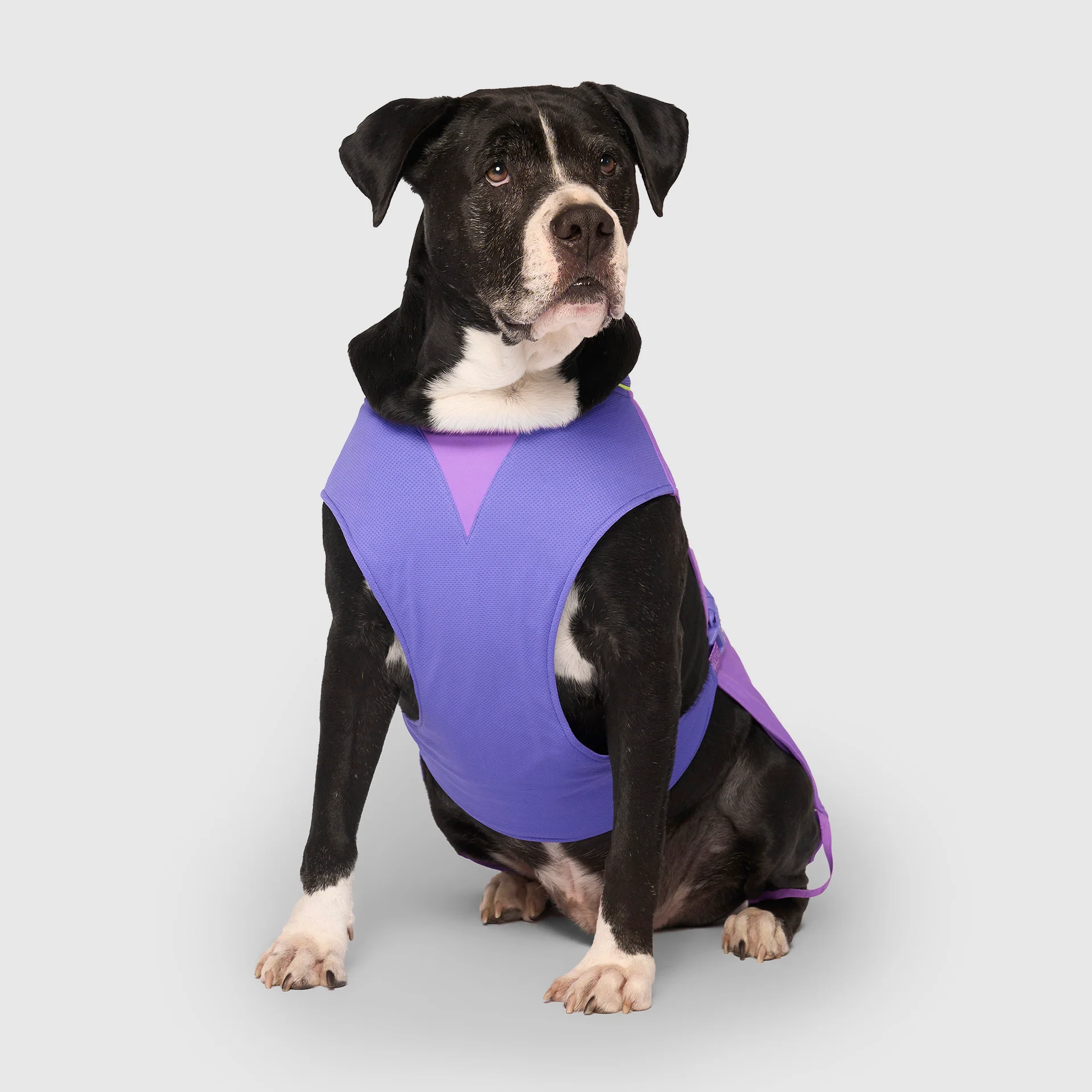 Max Chill Cooling Vest - Image 22