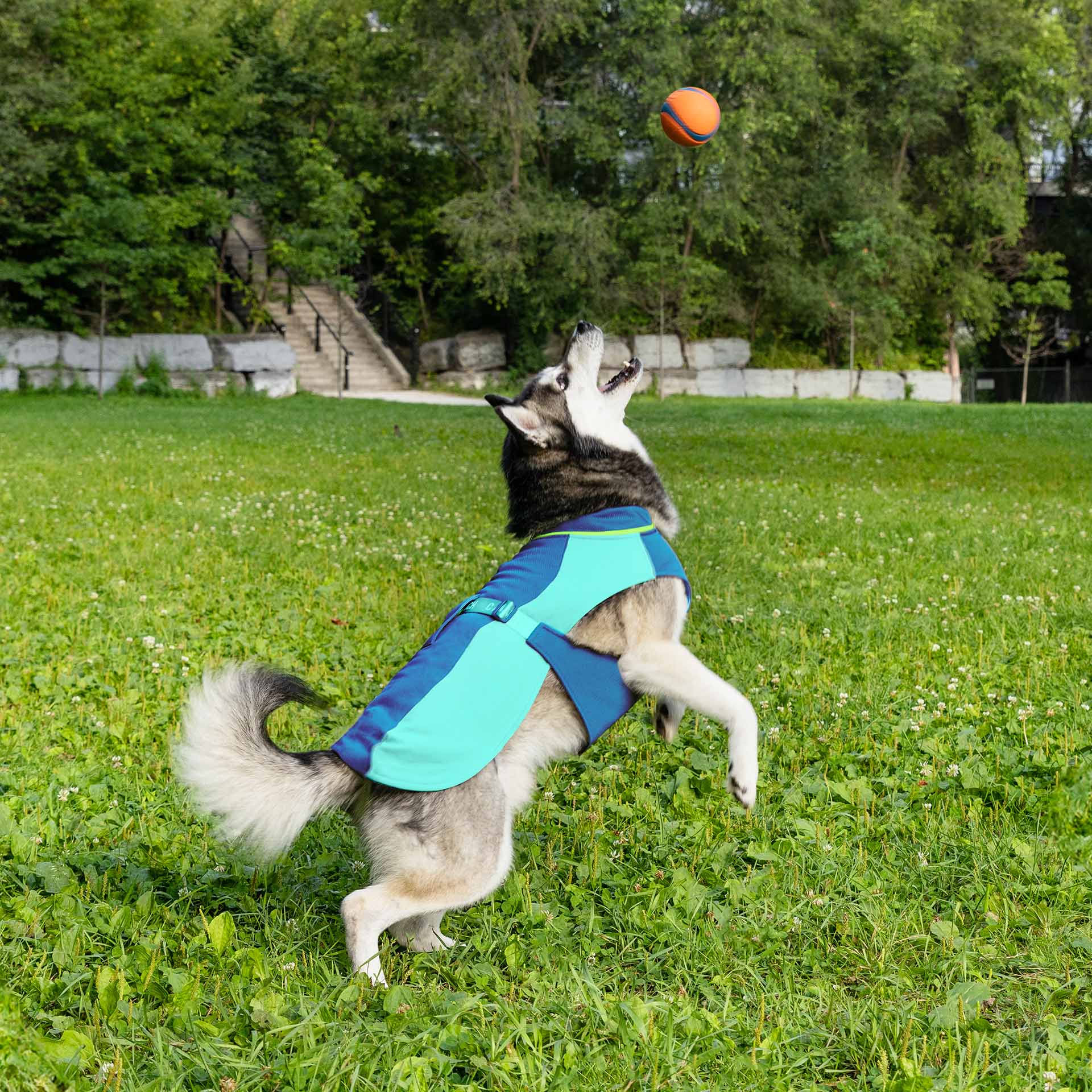 Max Chill Cooling Vest - Image 8