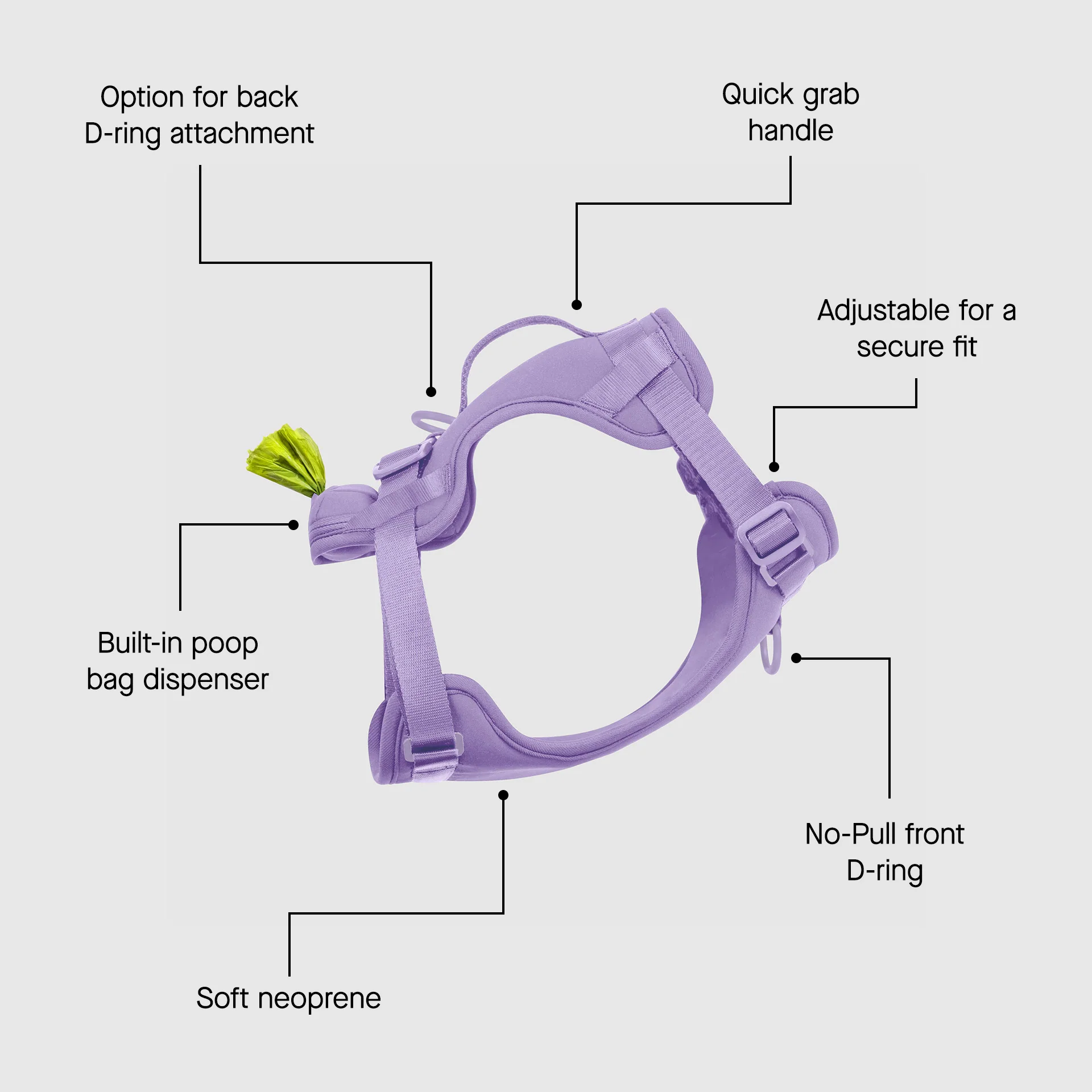 Neoprene Harness - Image 9