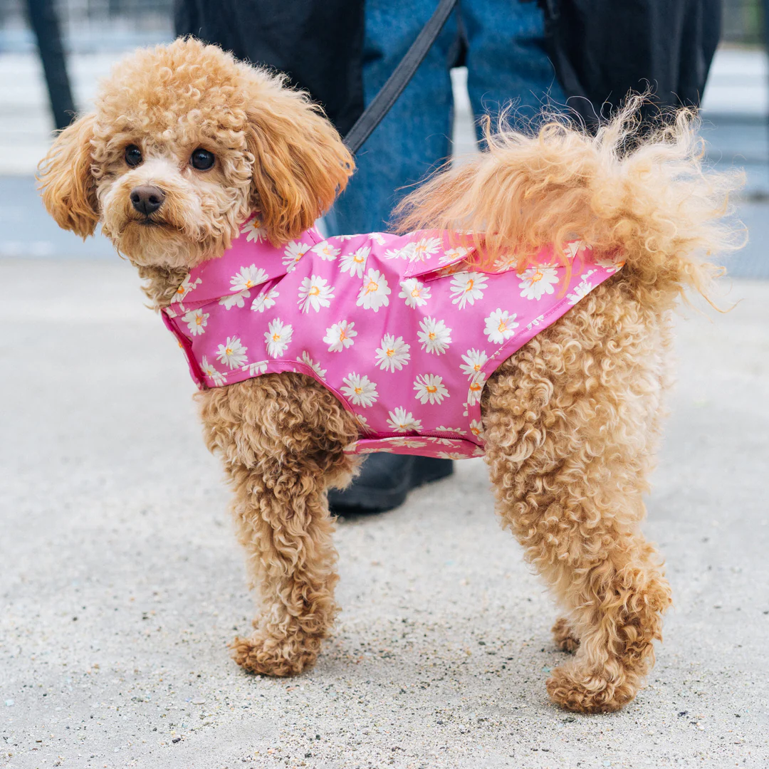 Pick Me Poncho - Image 10