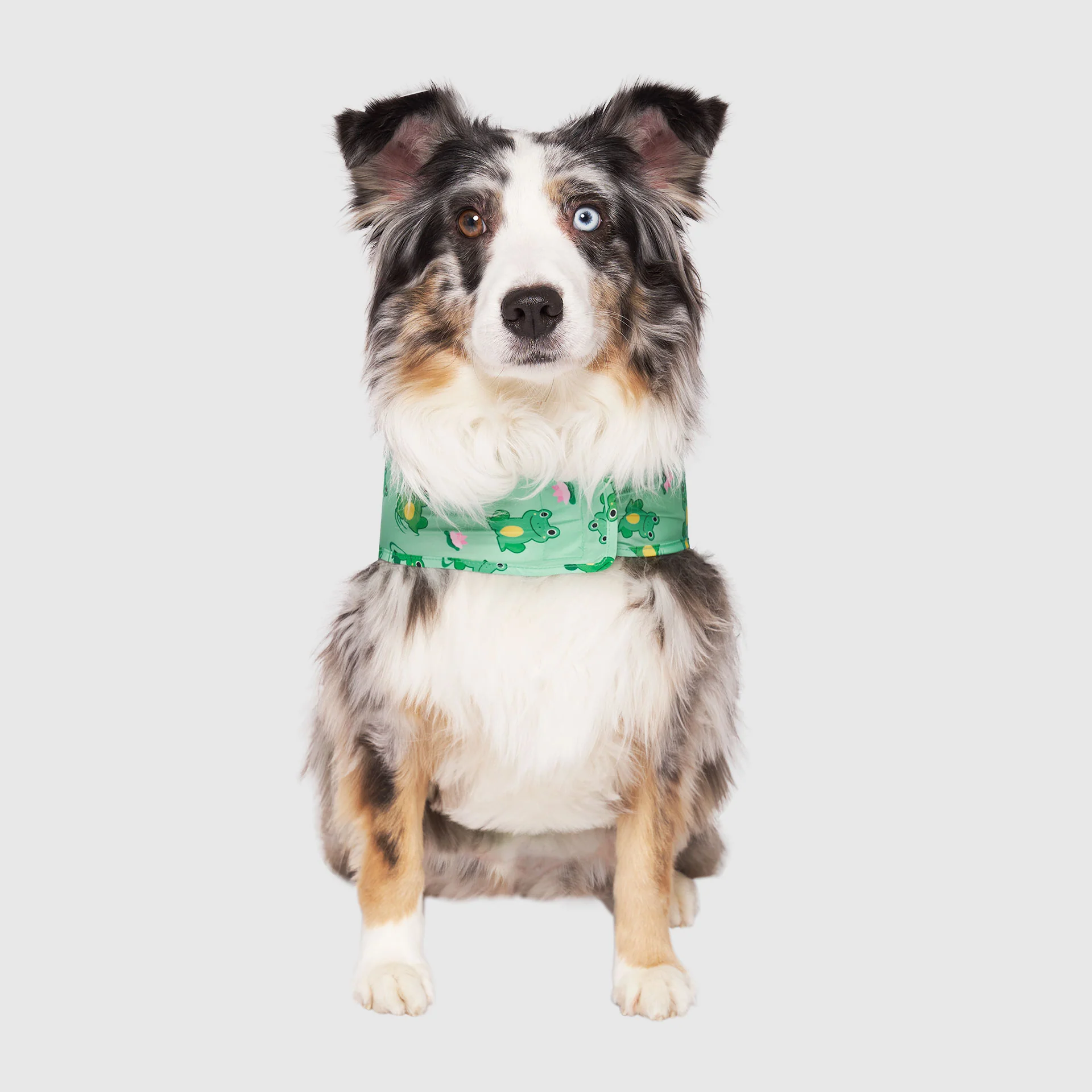 Pick Me Poncho - Image 25