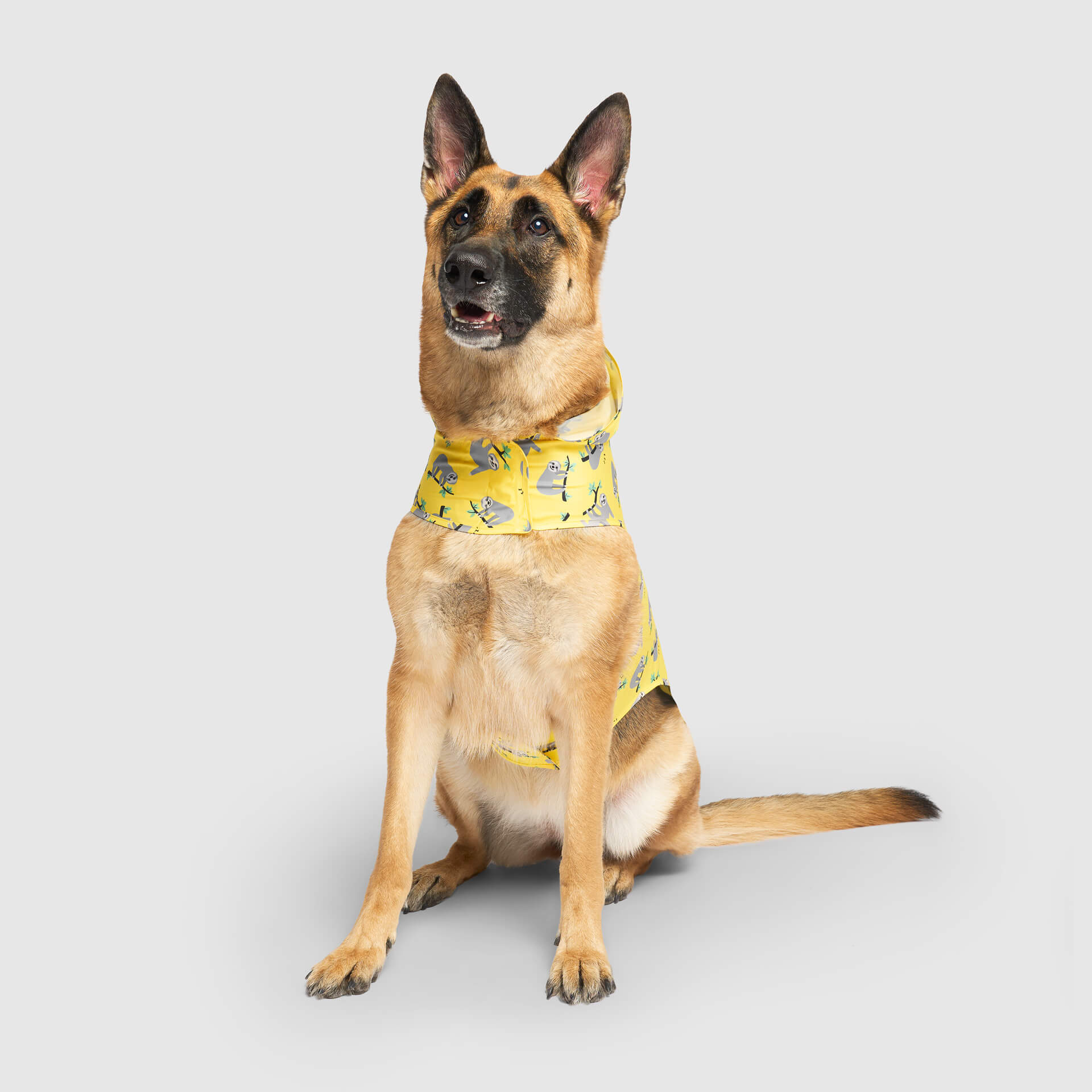 Pick Me Poncho - Image 29