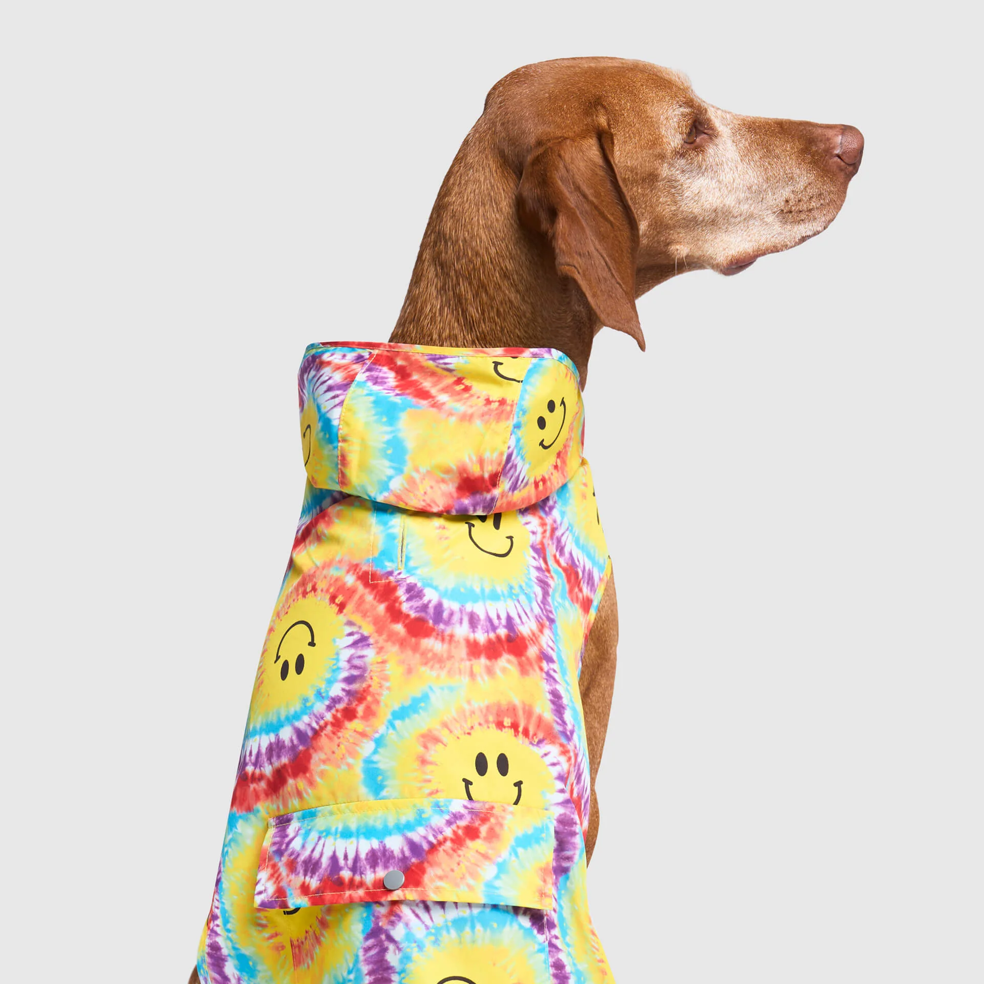 Pick Me Poncho - Image 35