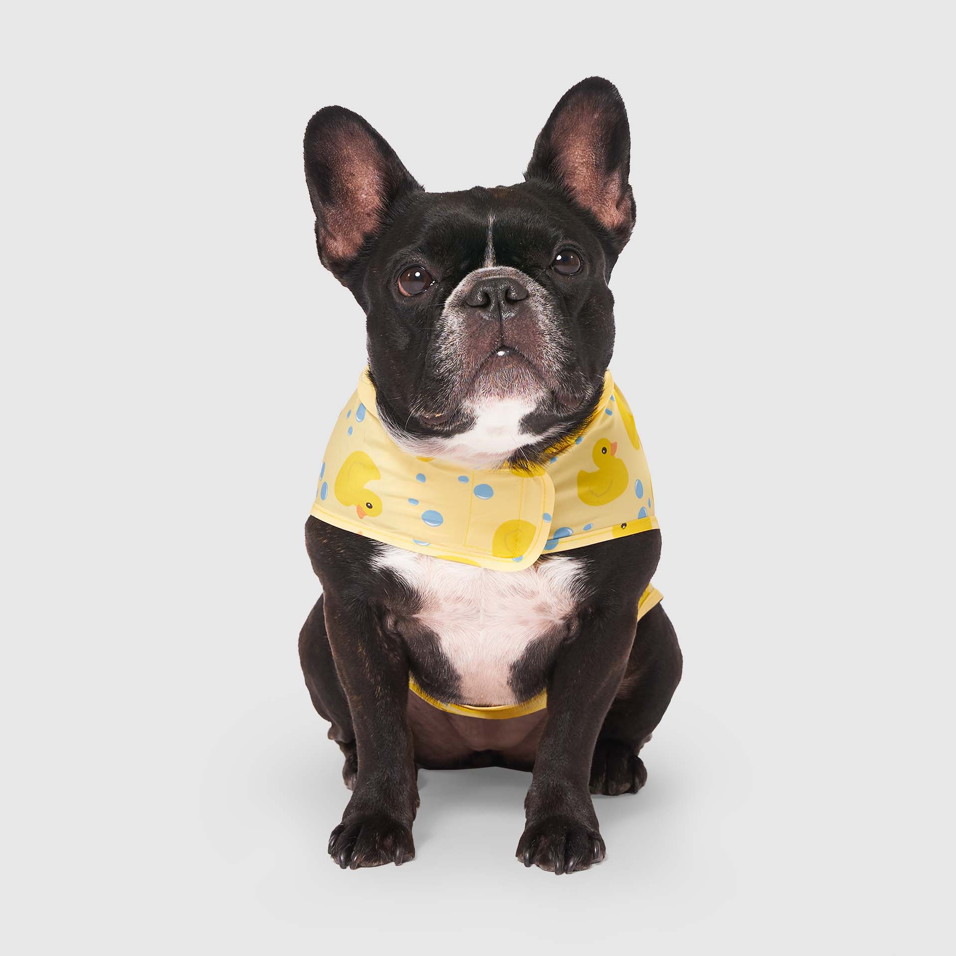 Pick Me Poncho - Image 38