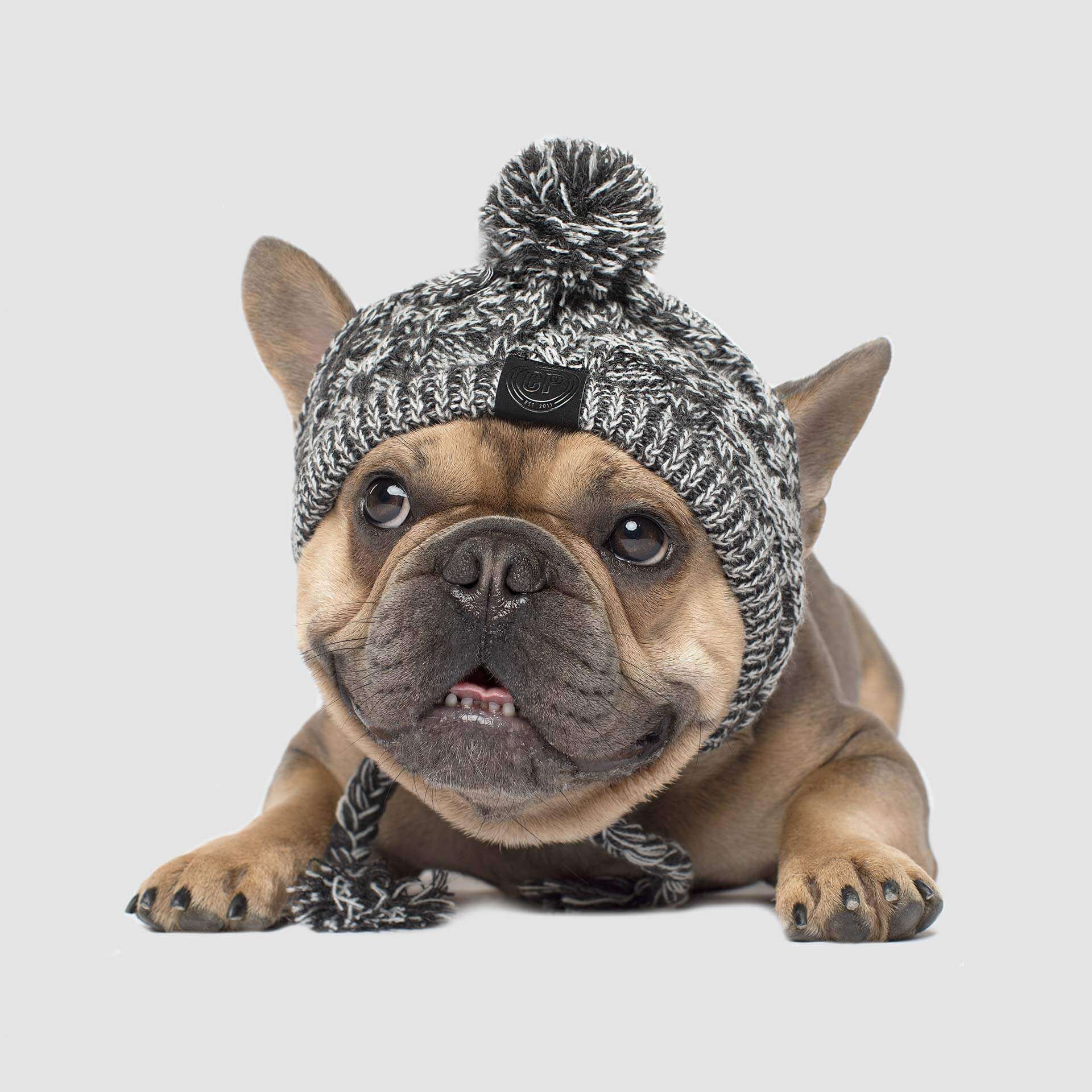 Polar Pom Pom Hat - Image 3