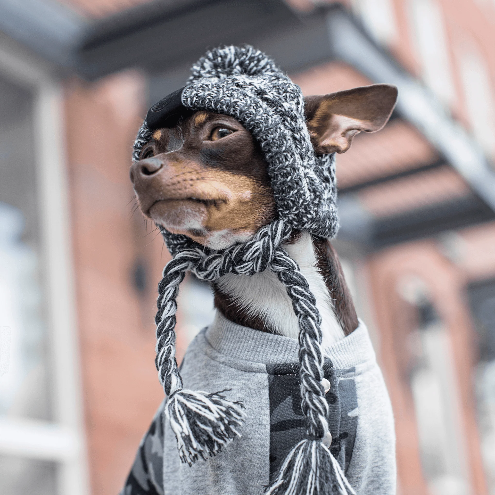 Polar Pom Pom Hat - Image 5