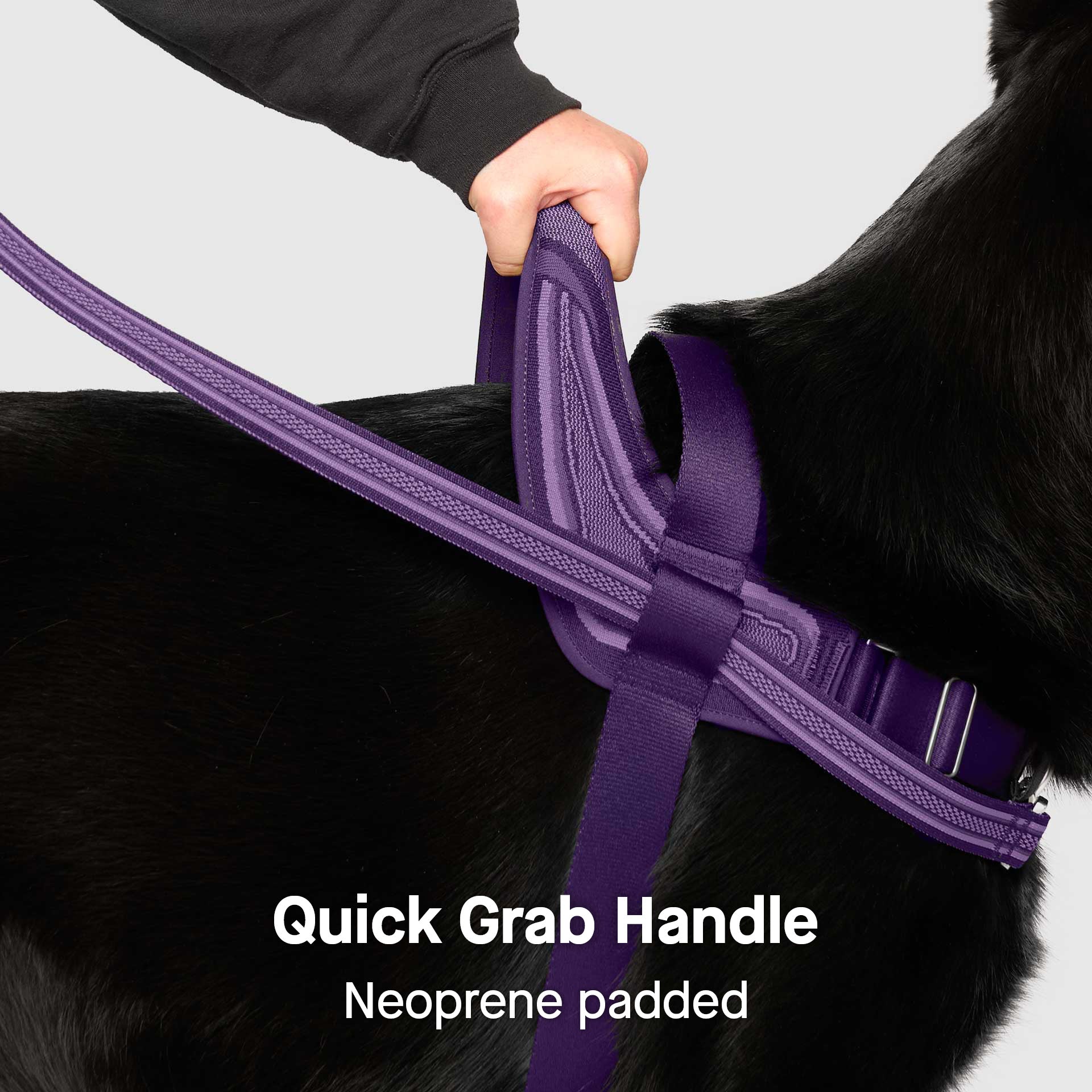 Re-Direct Harness - Image 15