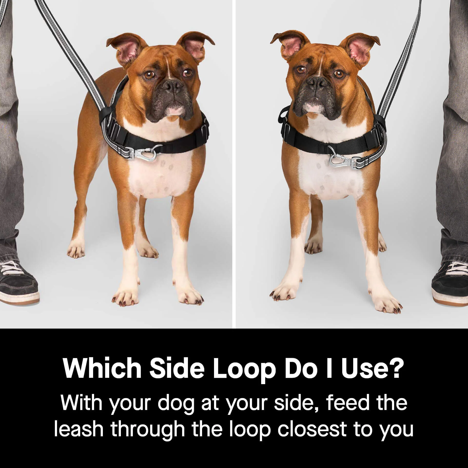 Re-Direct Harness - Image 5