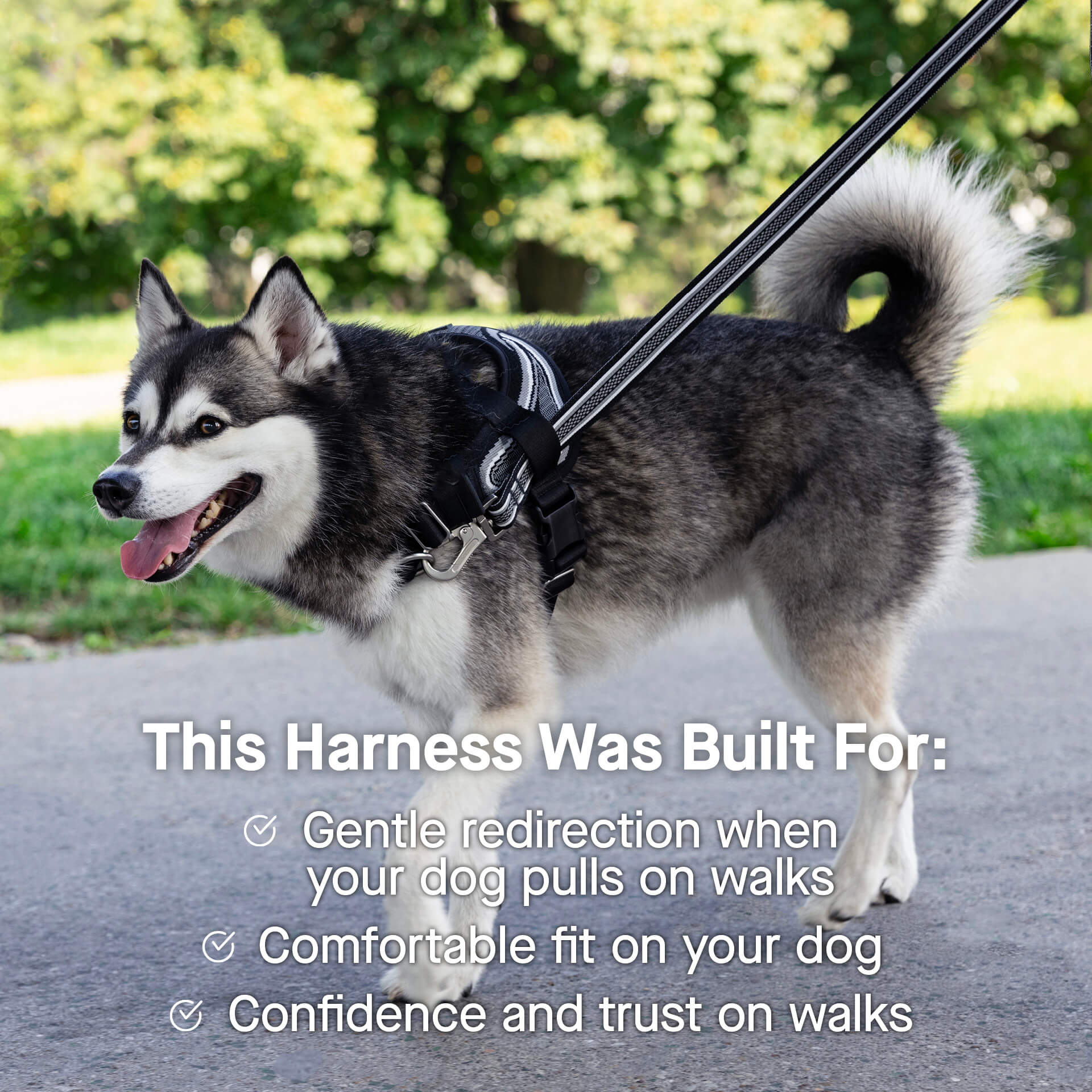 Re-Direct Harness - Image 6