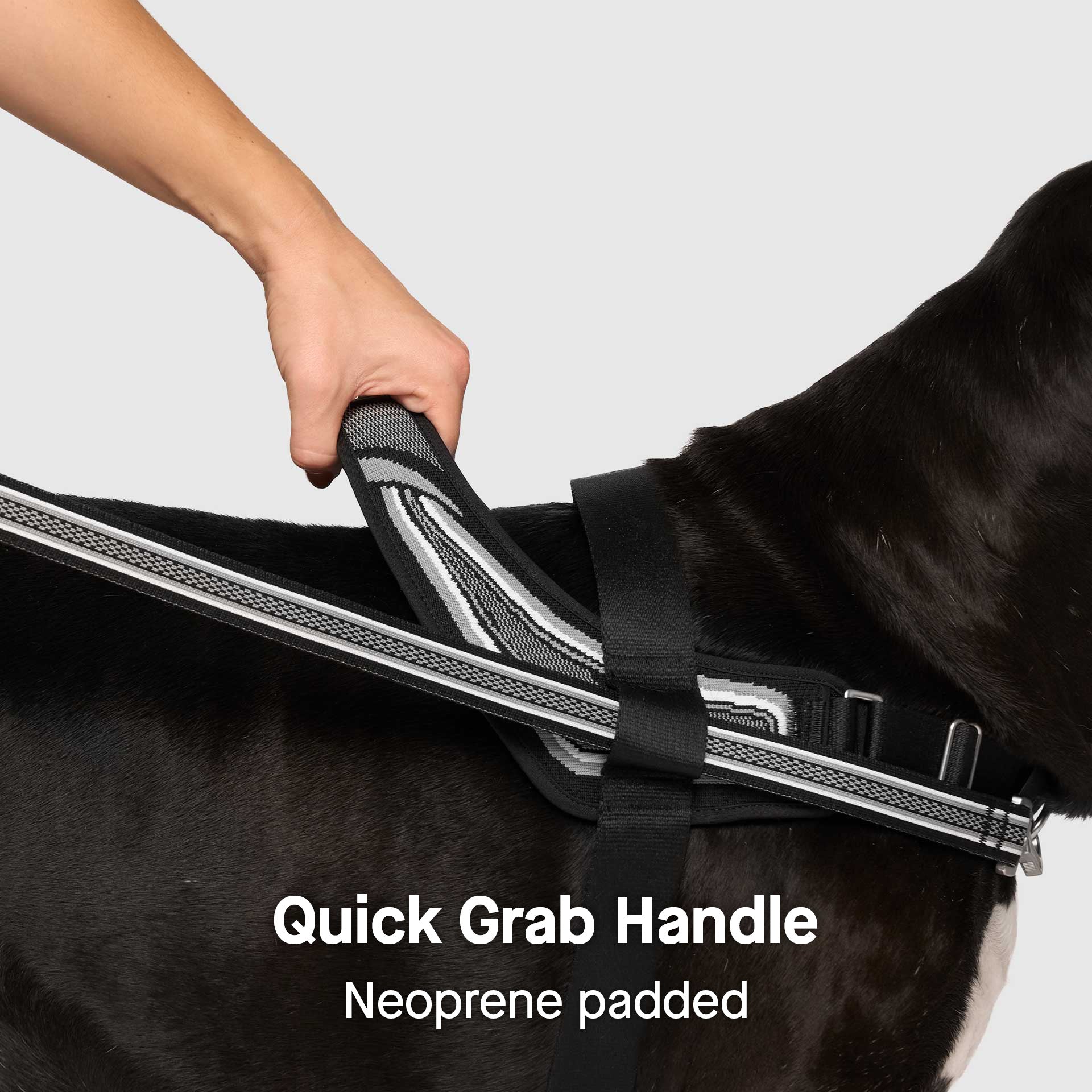 Re-Direct Harness - Image 7