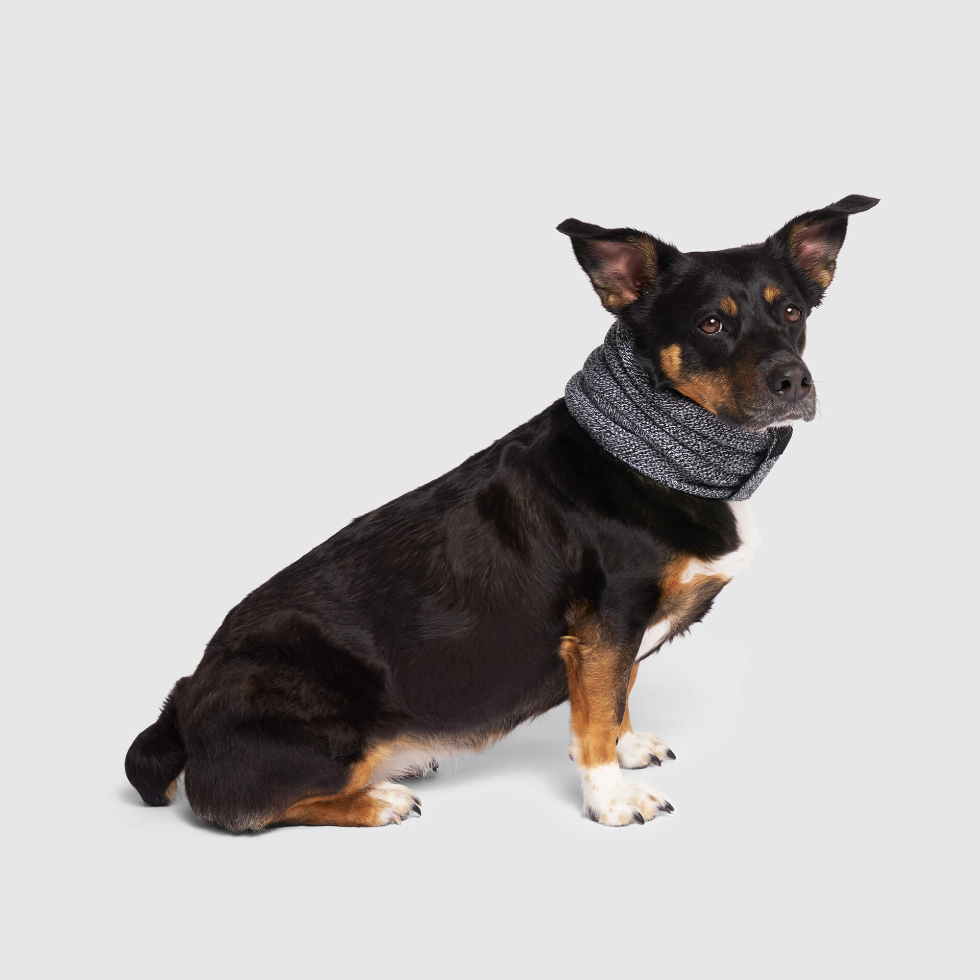 Sierra Scarf - Image 7