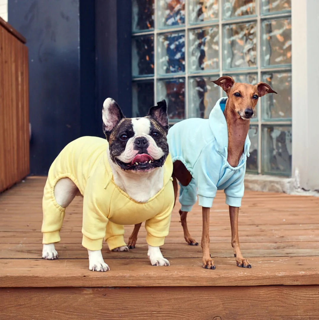 Soft Side Sweatsuit - Image 10