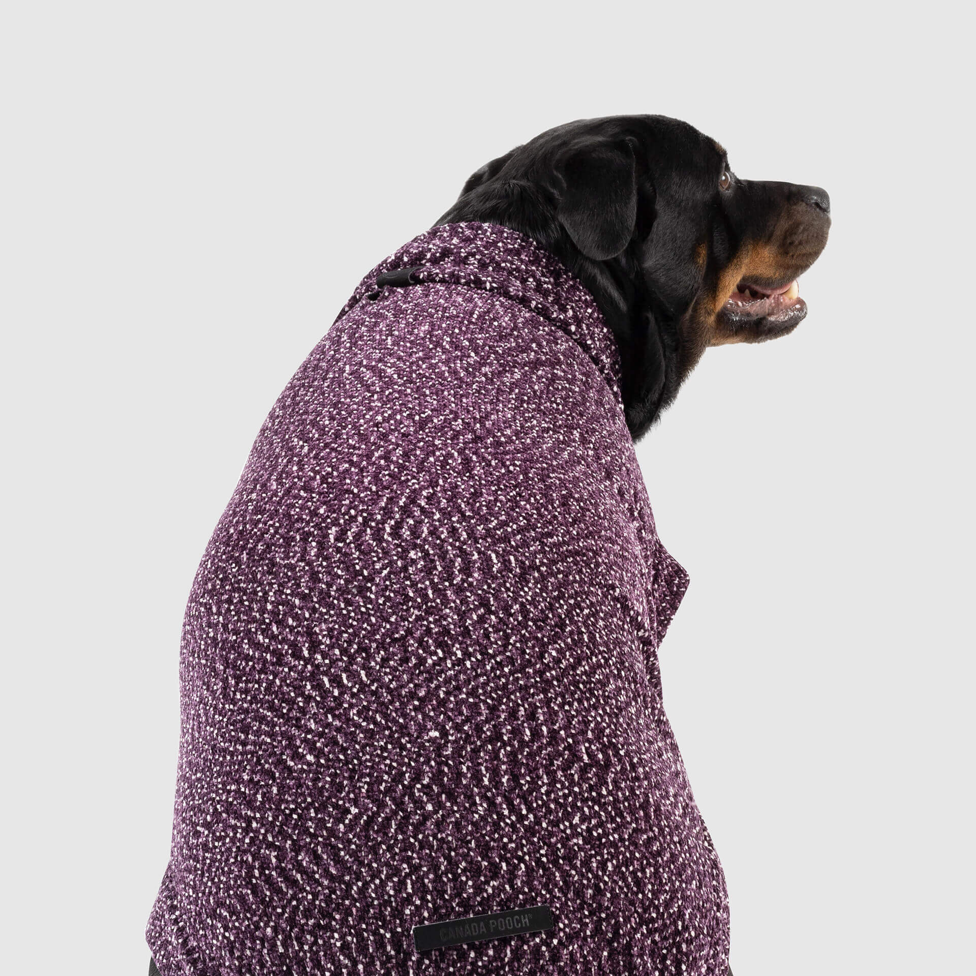 Soho Sweater - Image 7