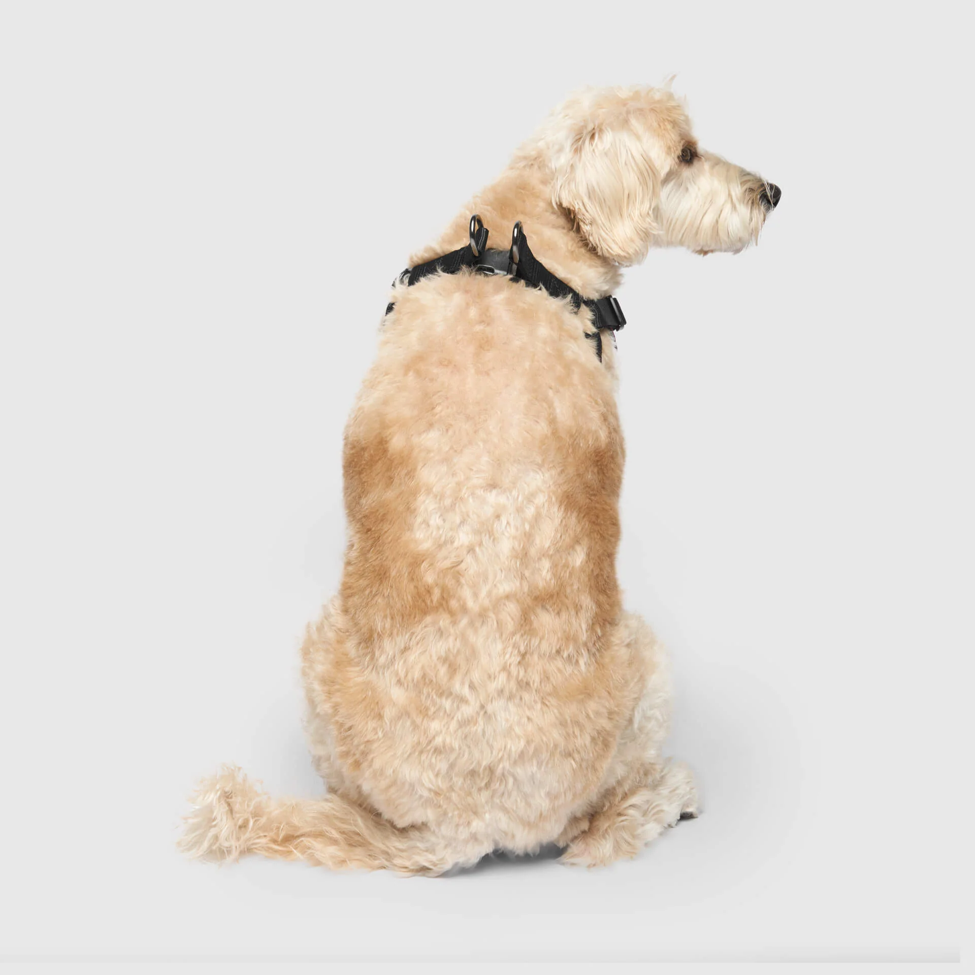 Easy-On Step-In Harness - Image 5