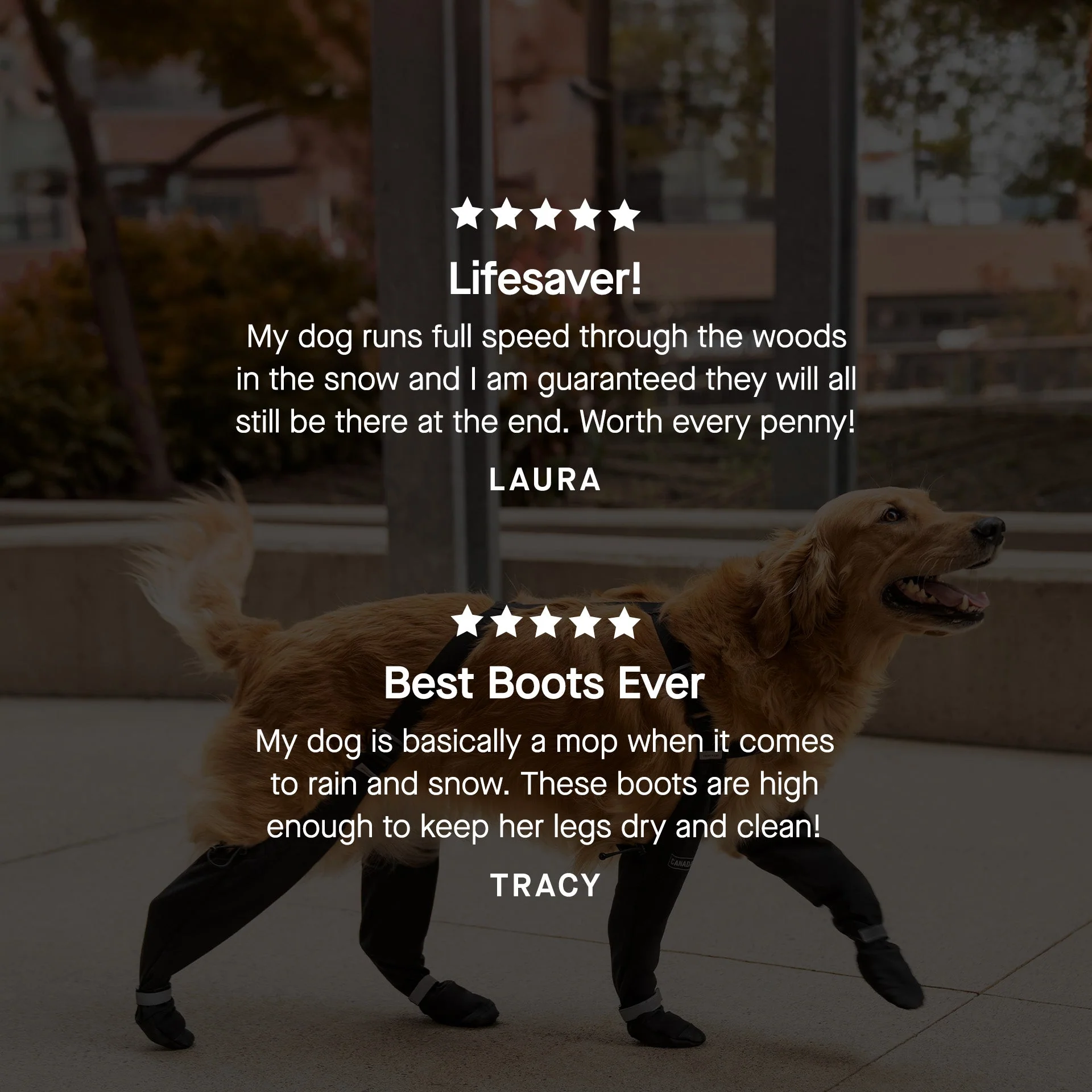 Suspender Boots - Image 18