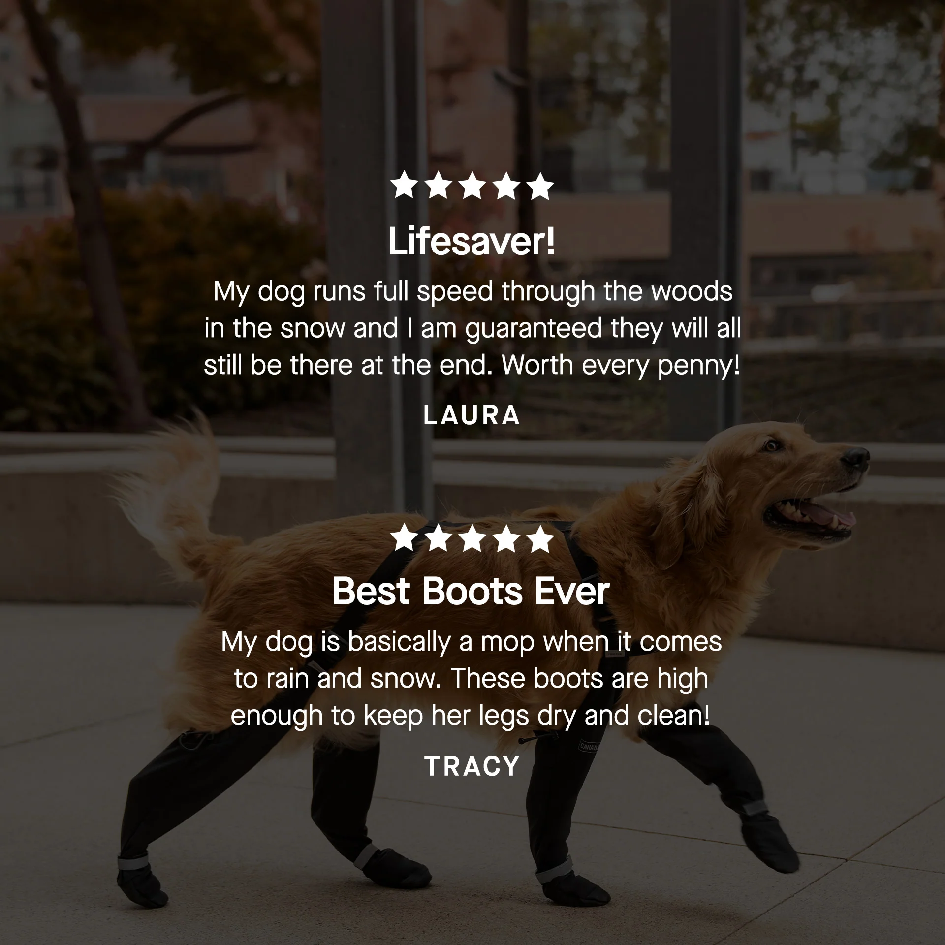 Suspender Boots - Image 6