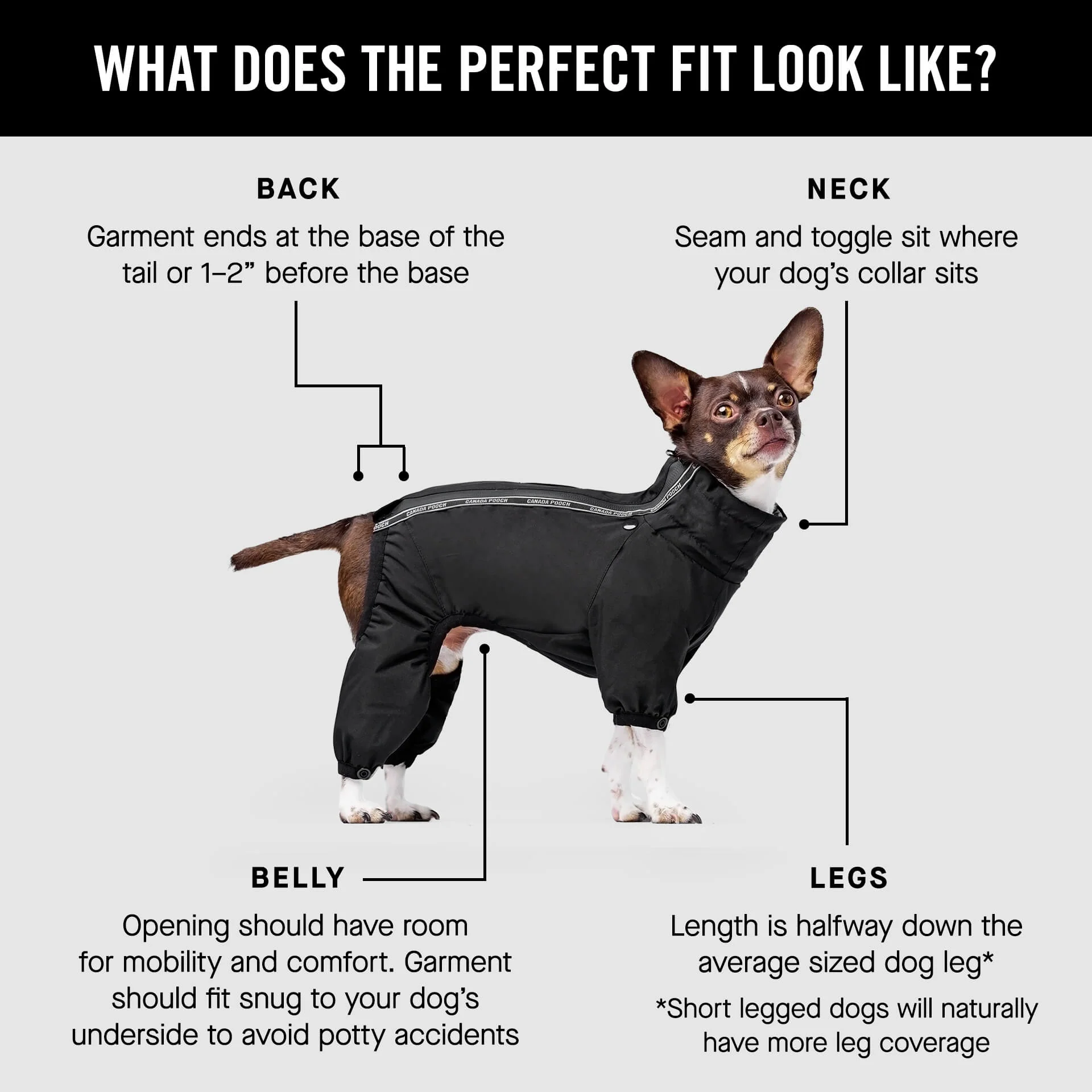 The Snow Suit - Image 10