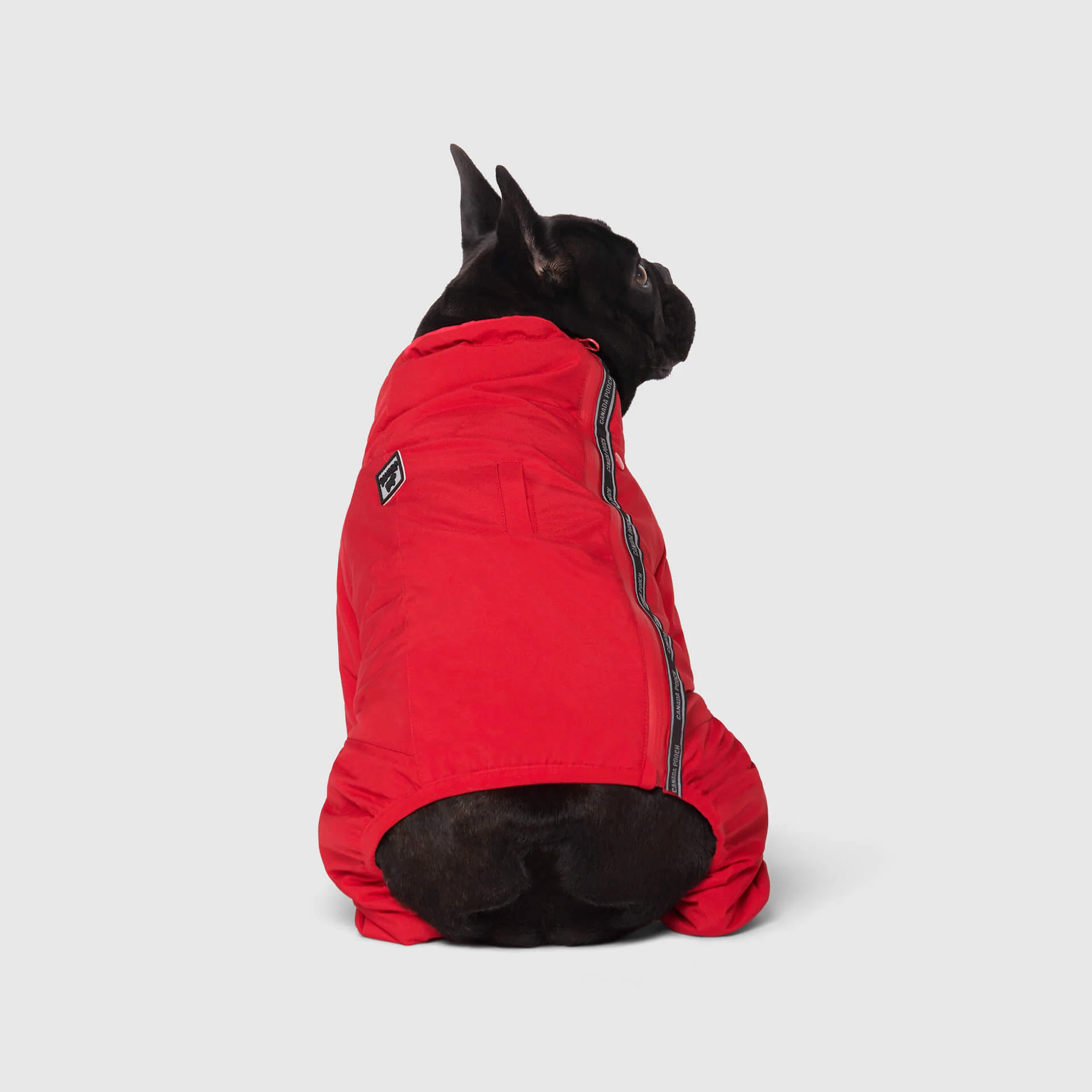 The Snow Suit - Image 11